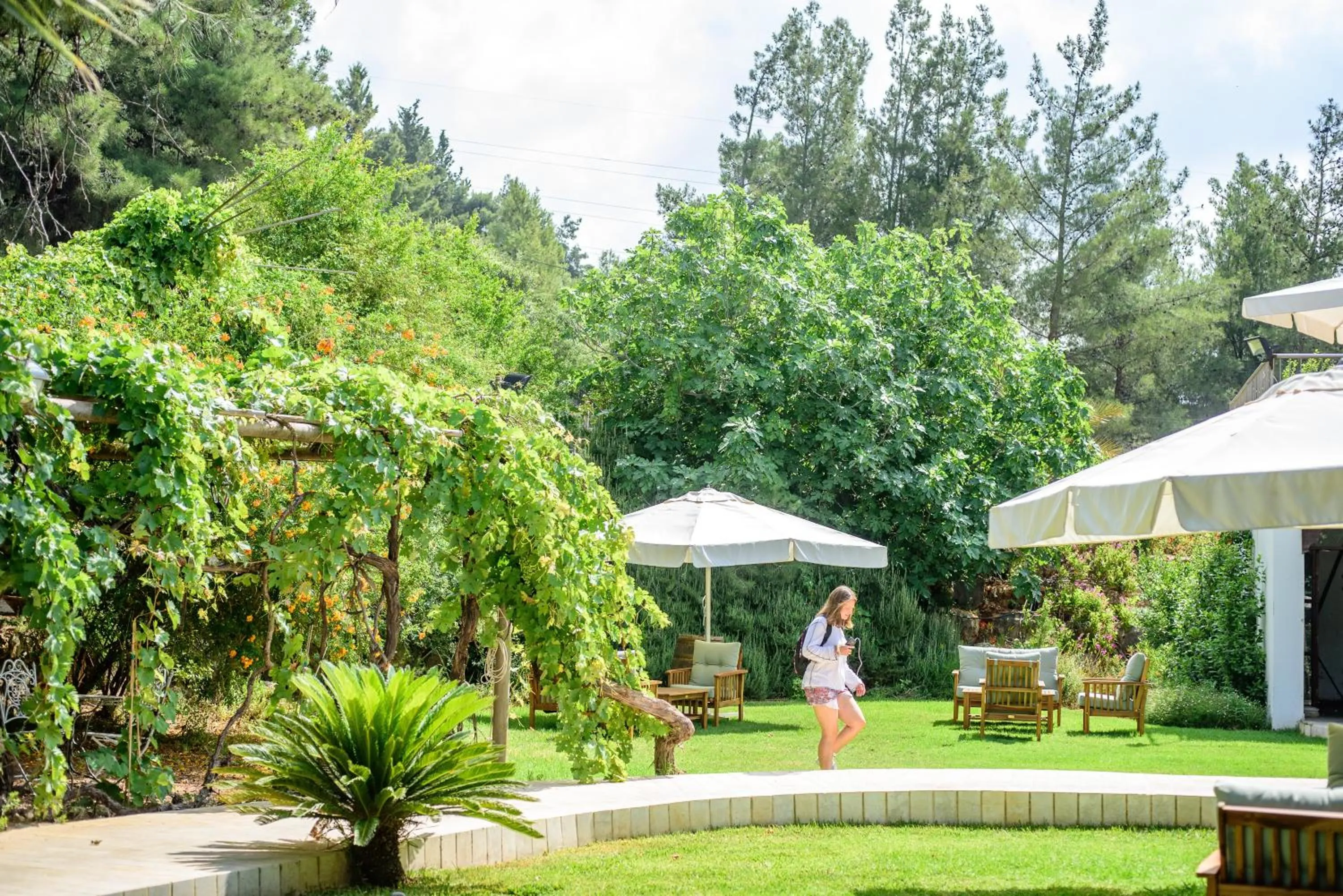 Garden in Amirey Hagalil Boutique Hotel