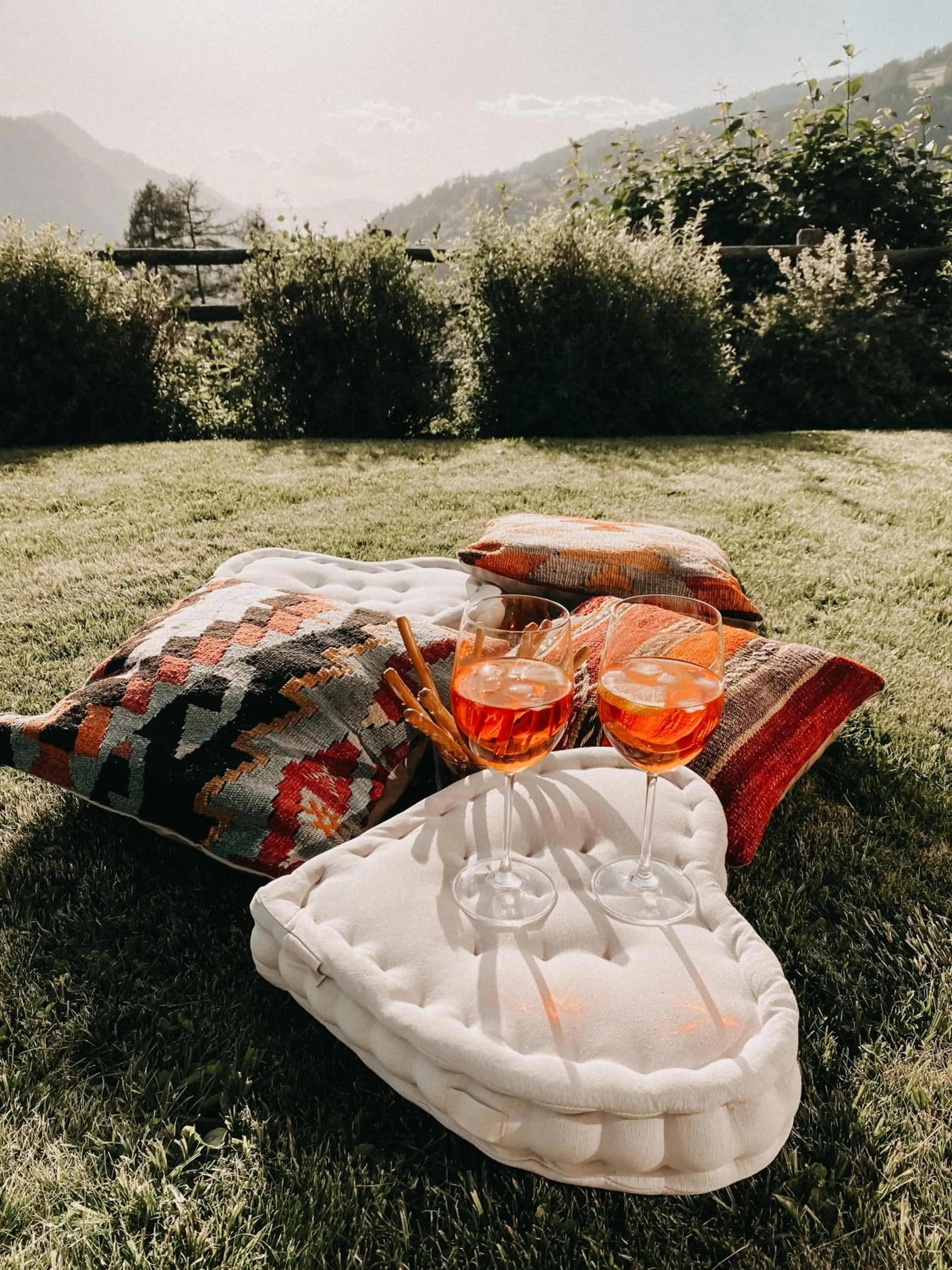 Day in Mountain Chalet Pra Ronch