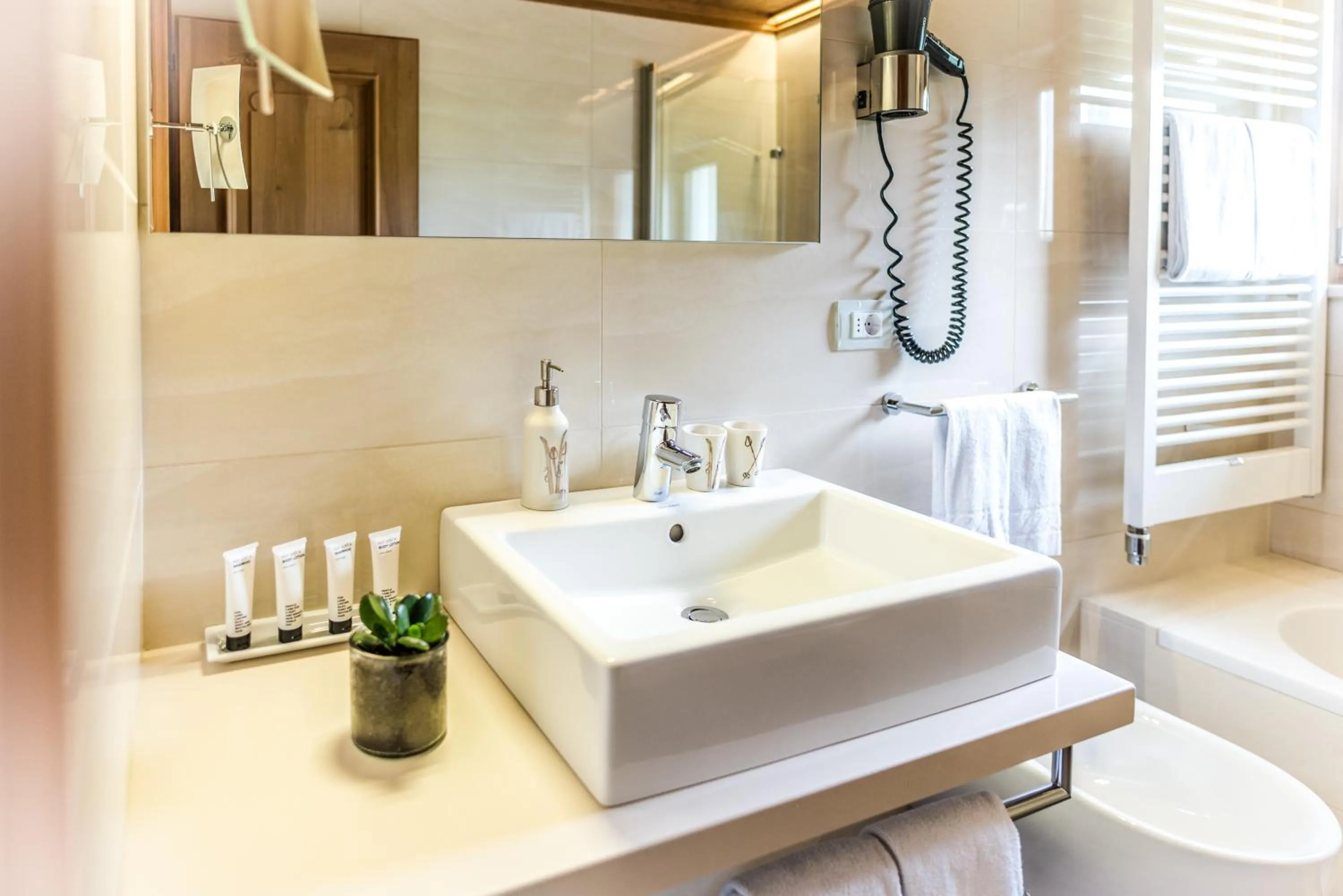 Toilet in Mountain Chalet Pra Ronch