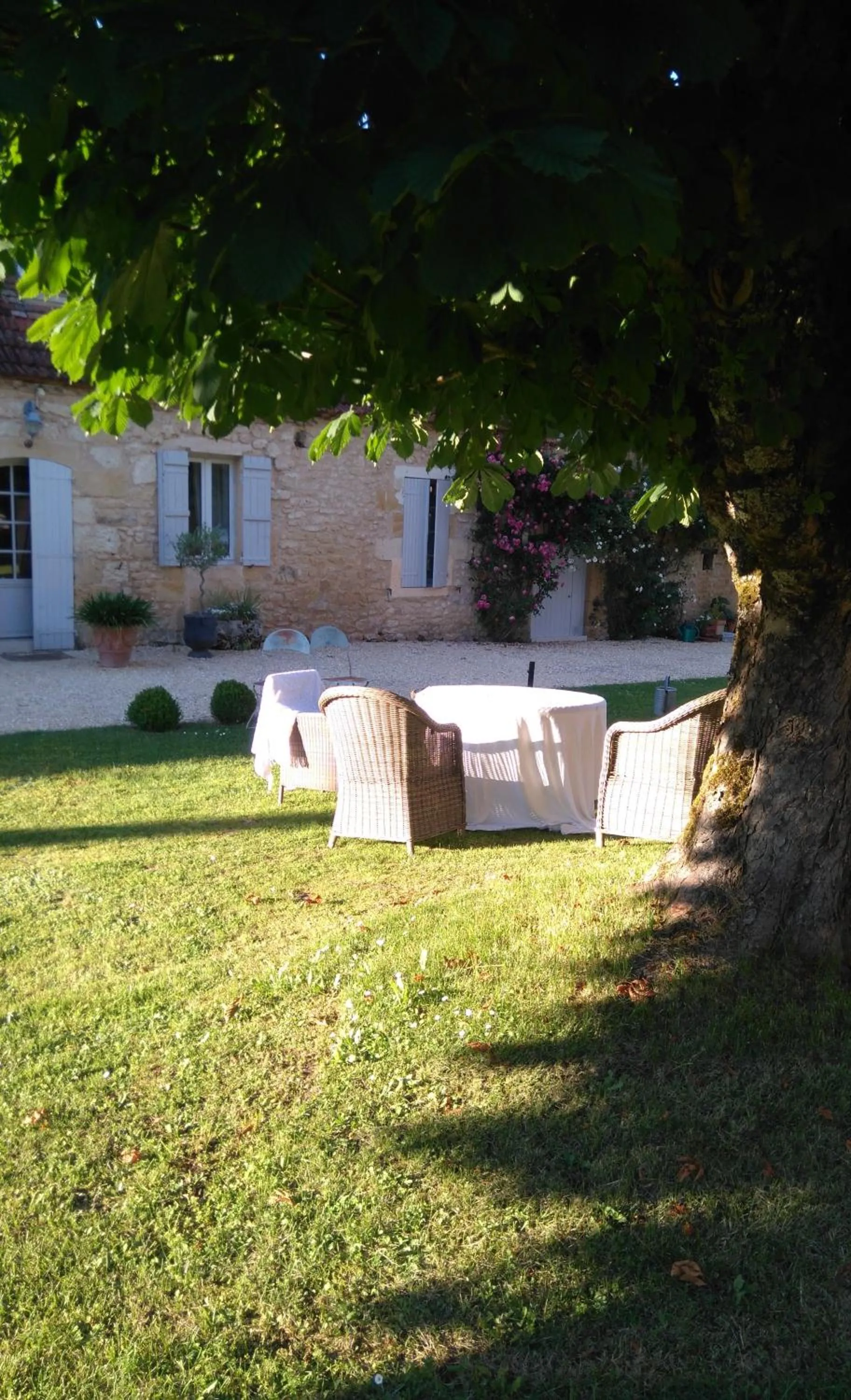Garden in Clos de Bartinquie