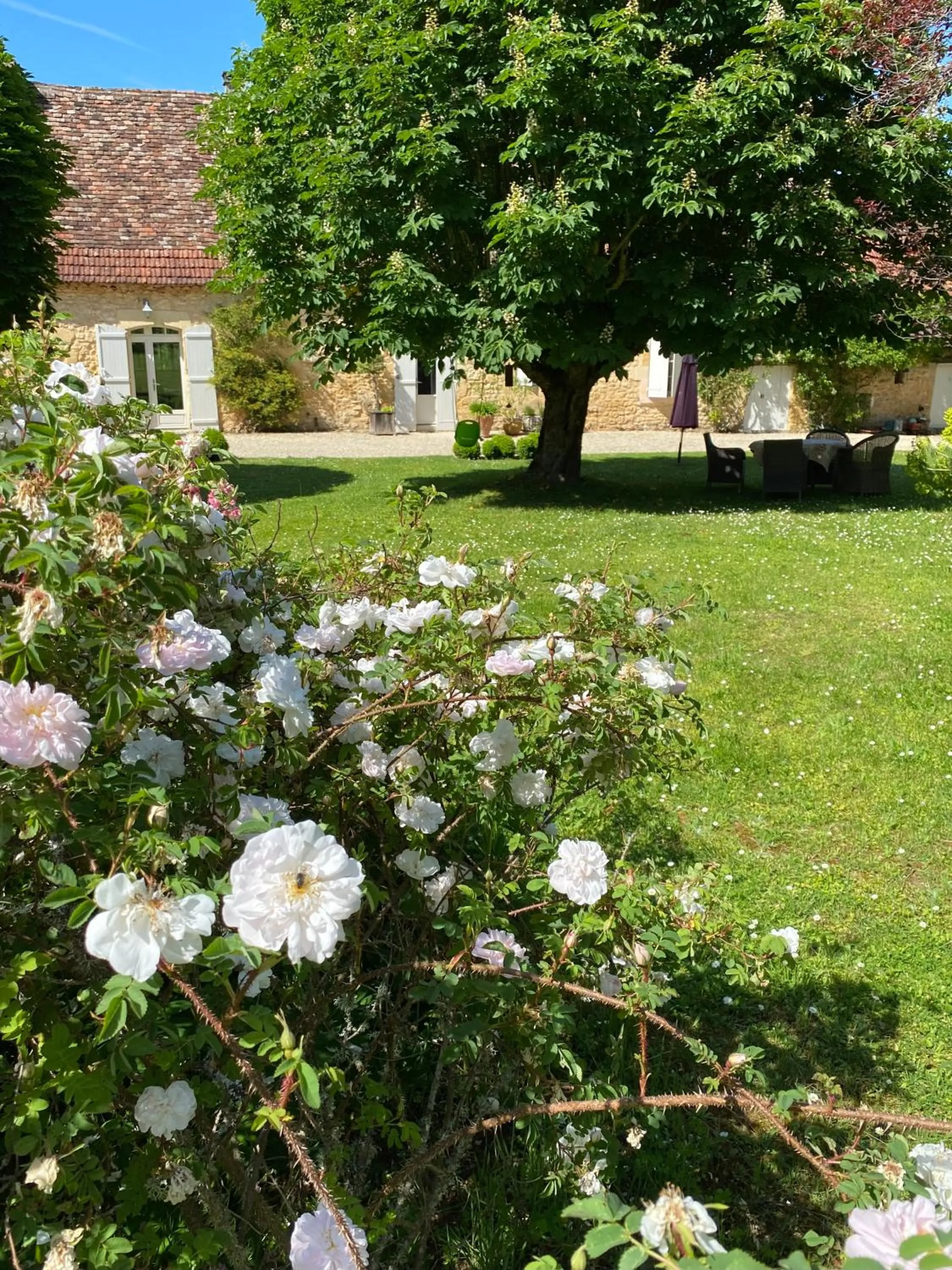 Clos de Bartinquie
