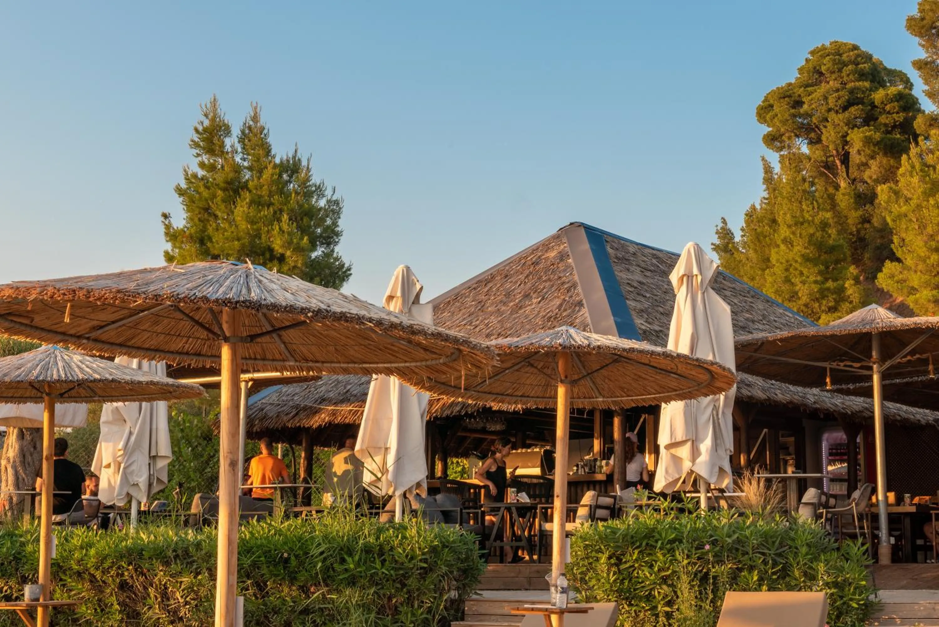 Lounge or bar in Camping Castello