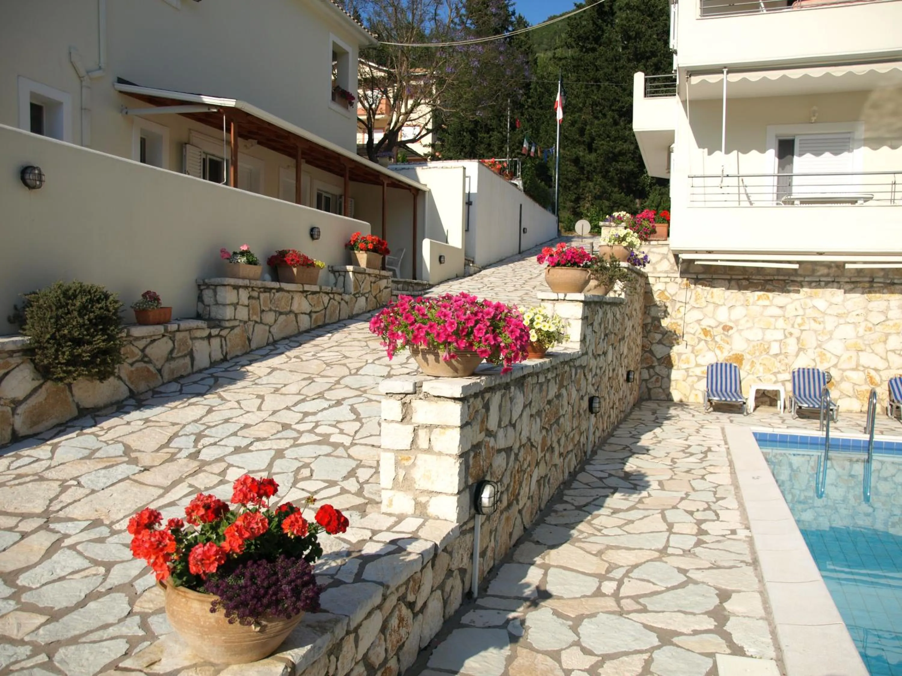 Swimming pool in Geni Garden Apartments