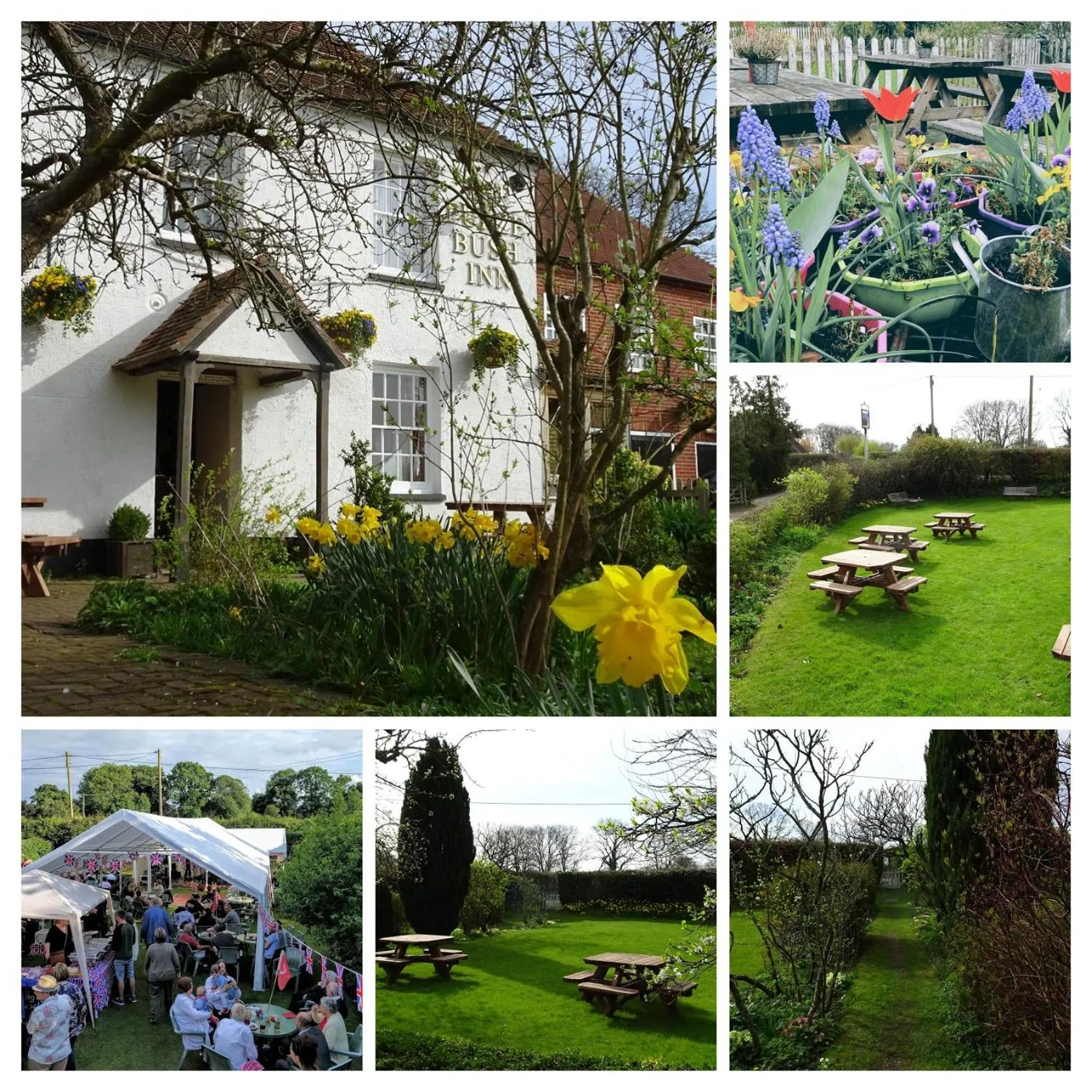 Garden in The Furze Bush Inn