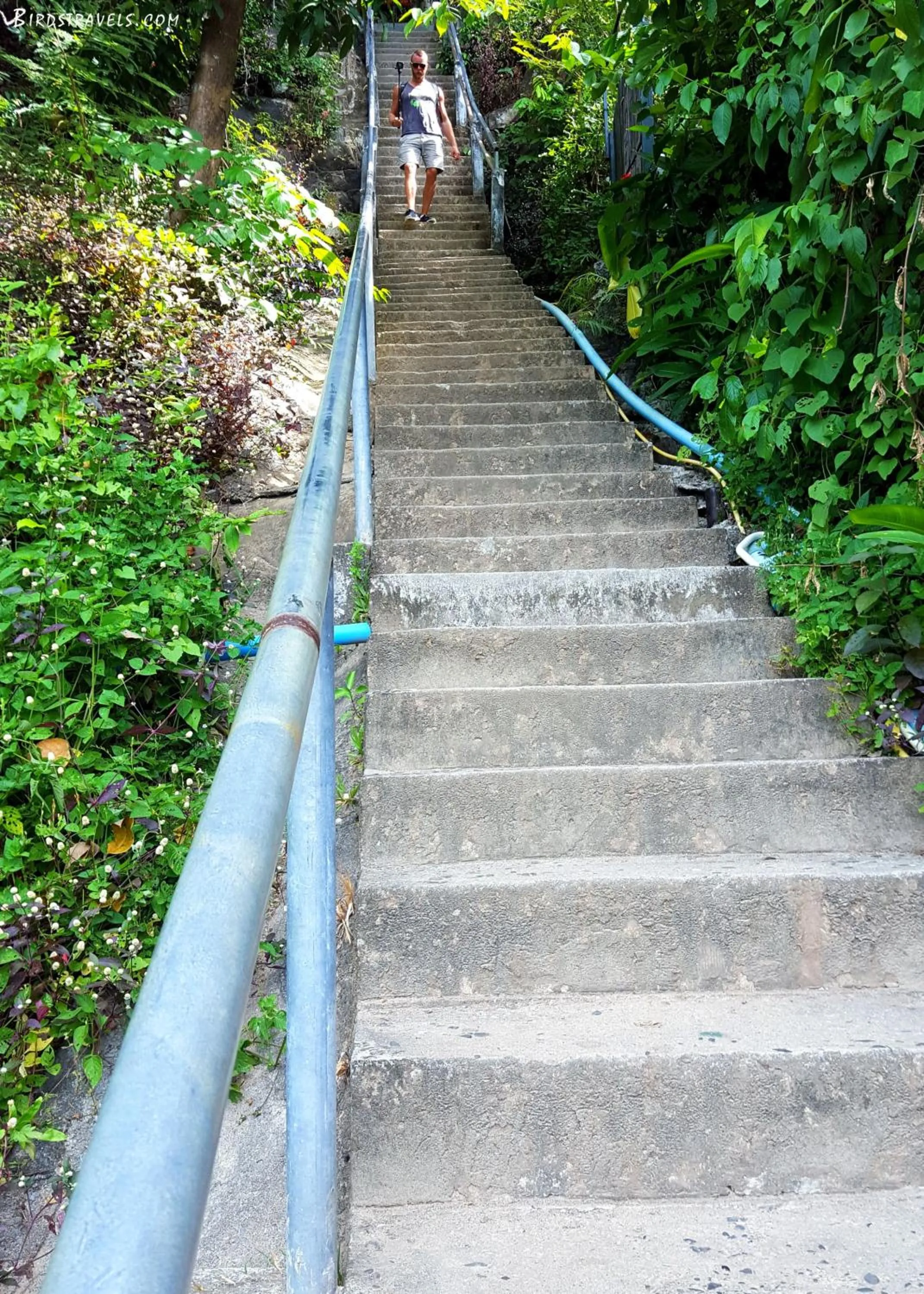Facade/entrance in Phi Phi Arboreal Resort