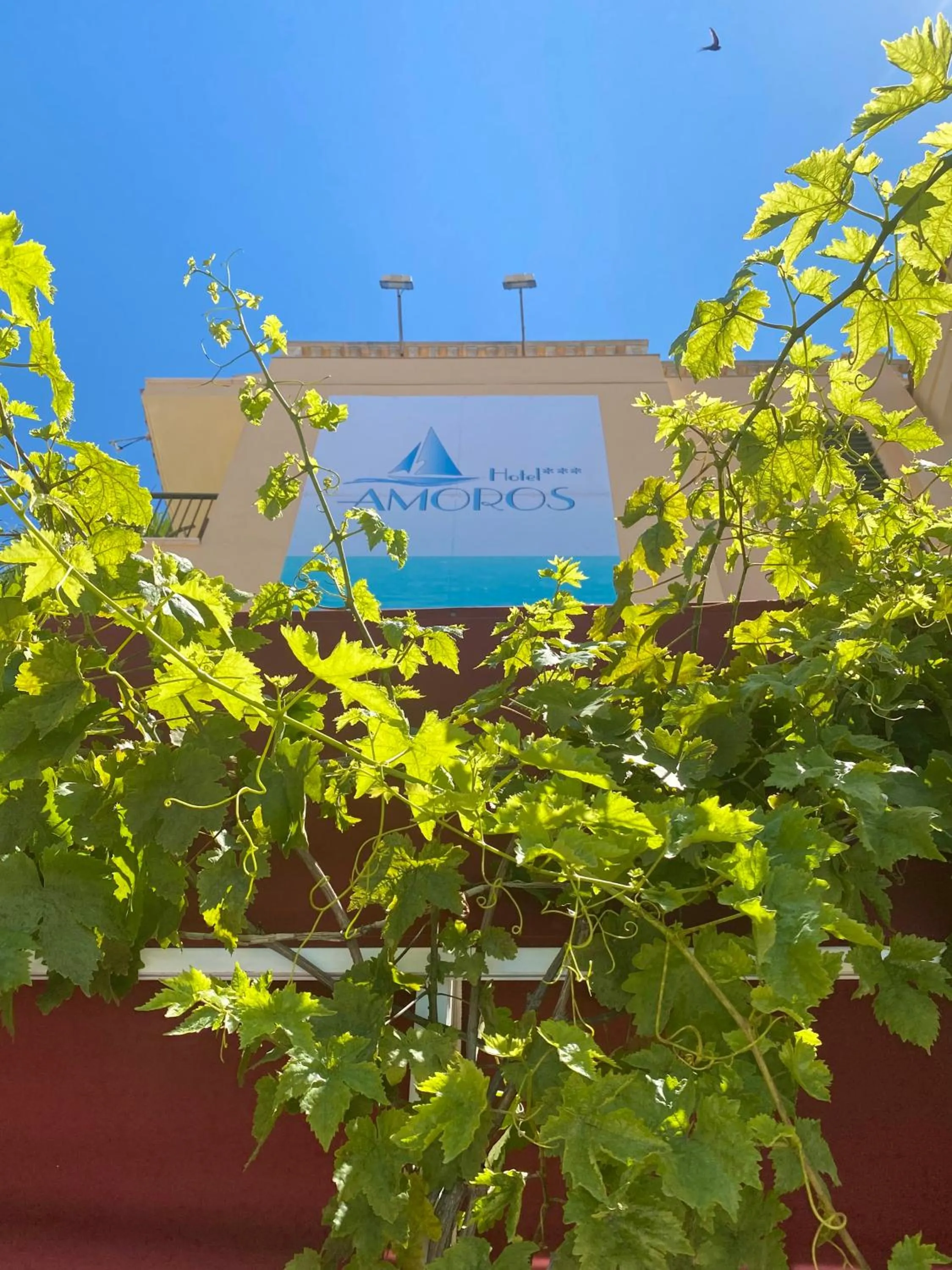 Facade/entrance in Hotel Amoros
