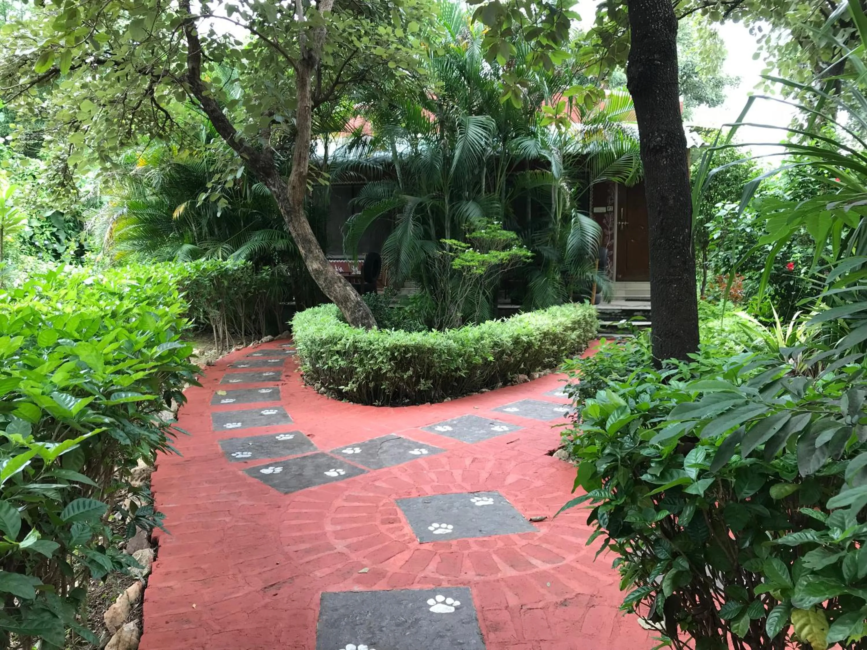 Garden view in Baaz Jungle Resort