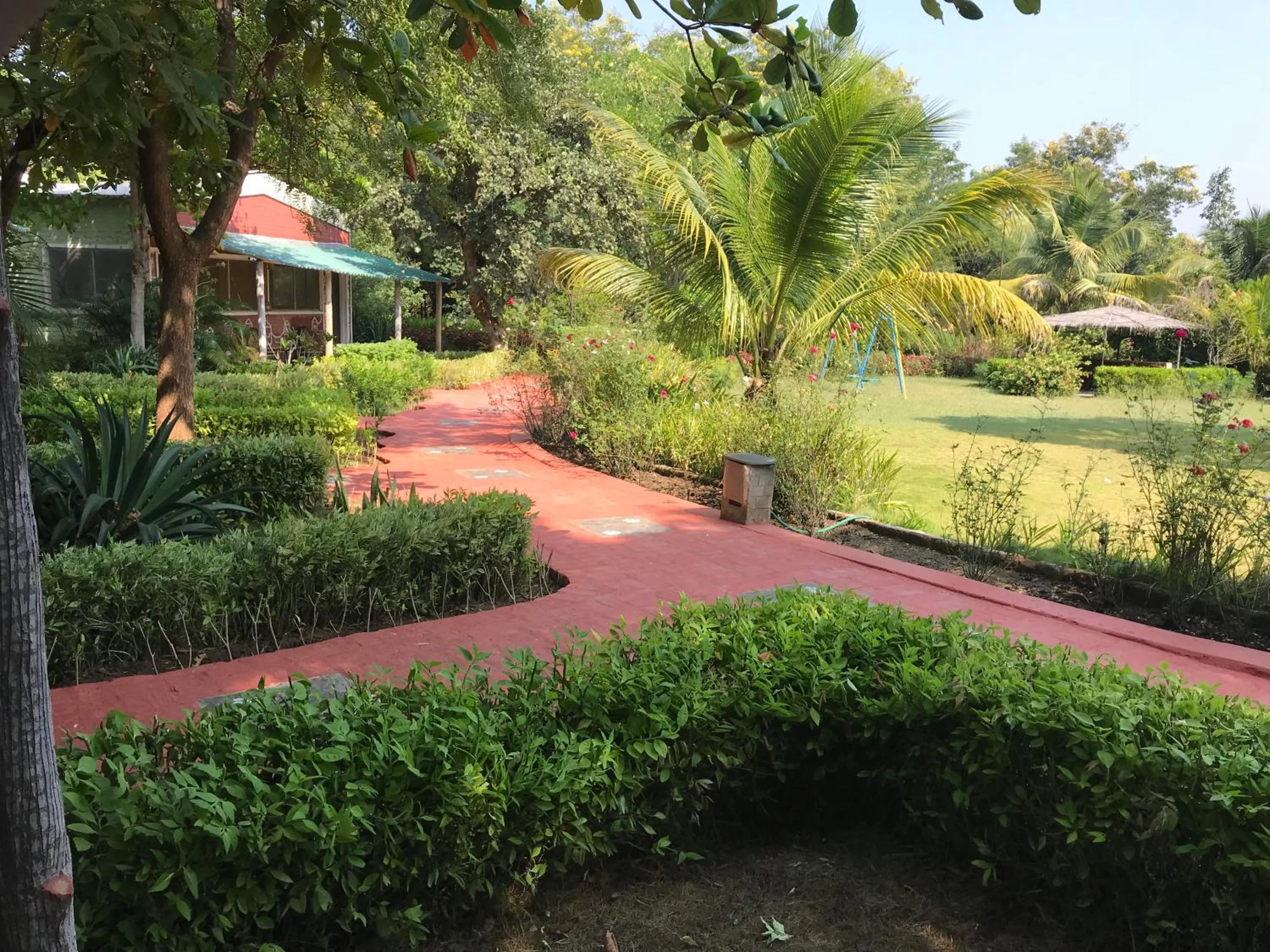 Property building in Baaz Jungle Resort