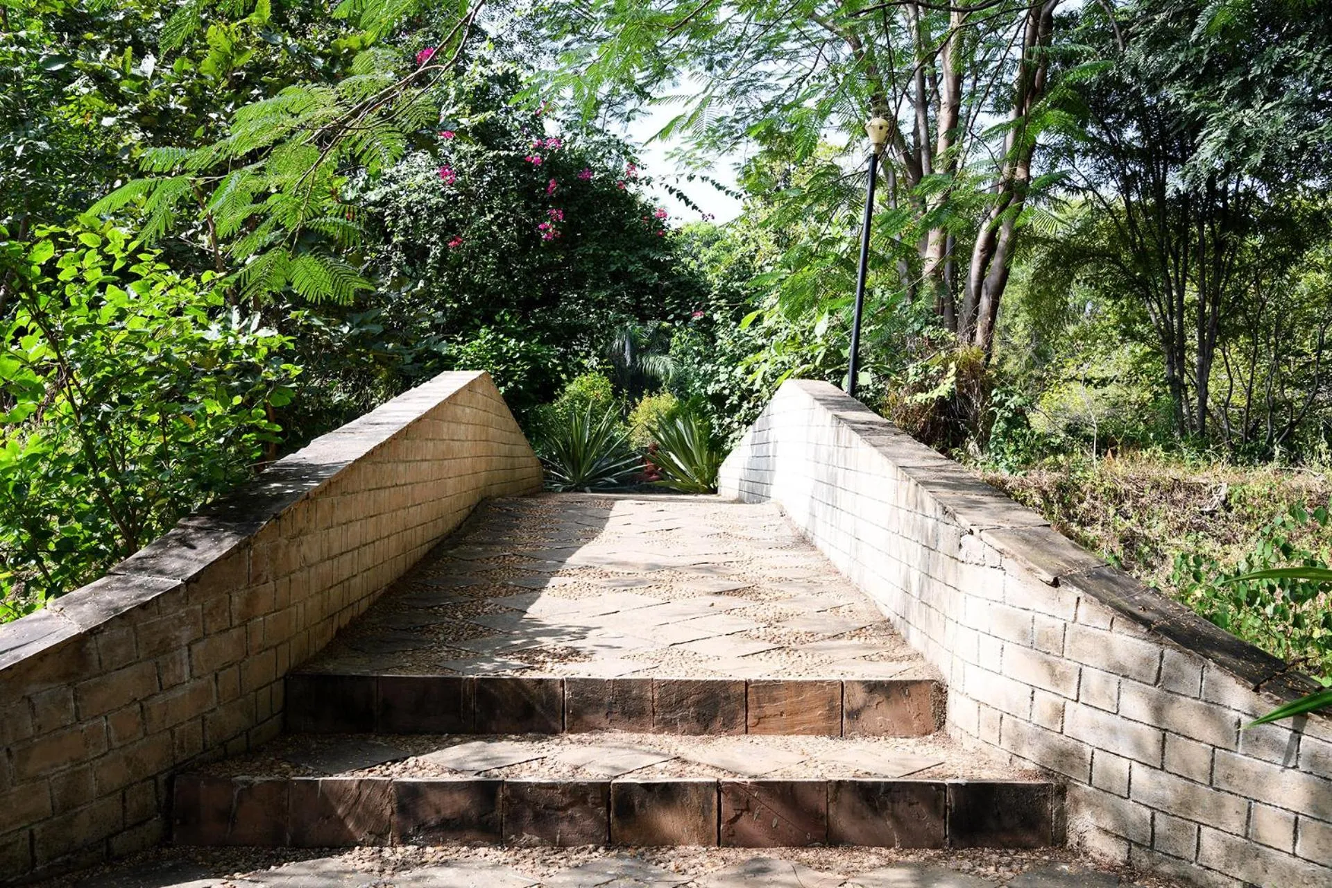 View (from property/room) in Baaz Jungle Resort