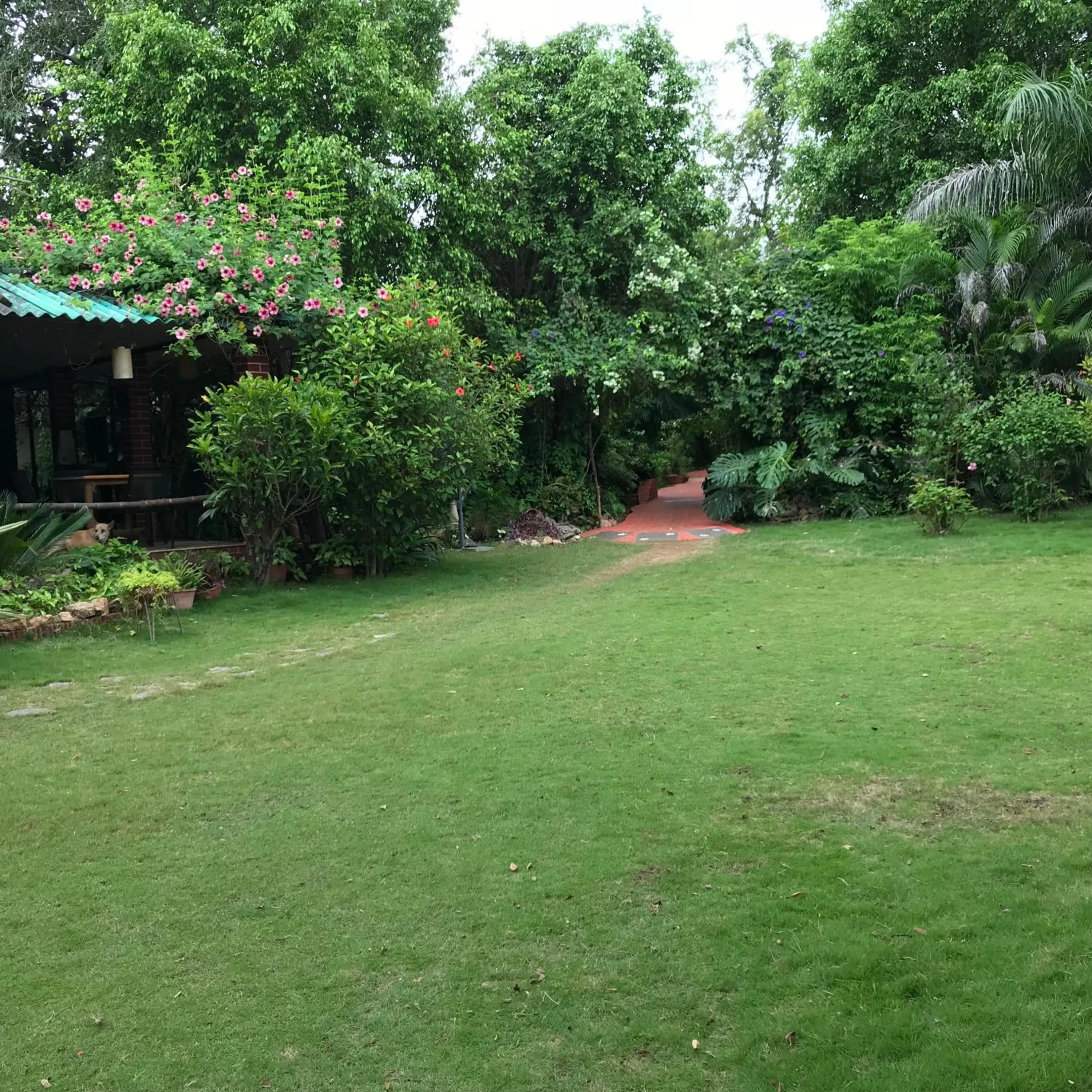 Garden in Baaz Jungle Resort