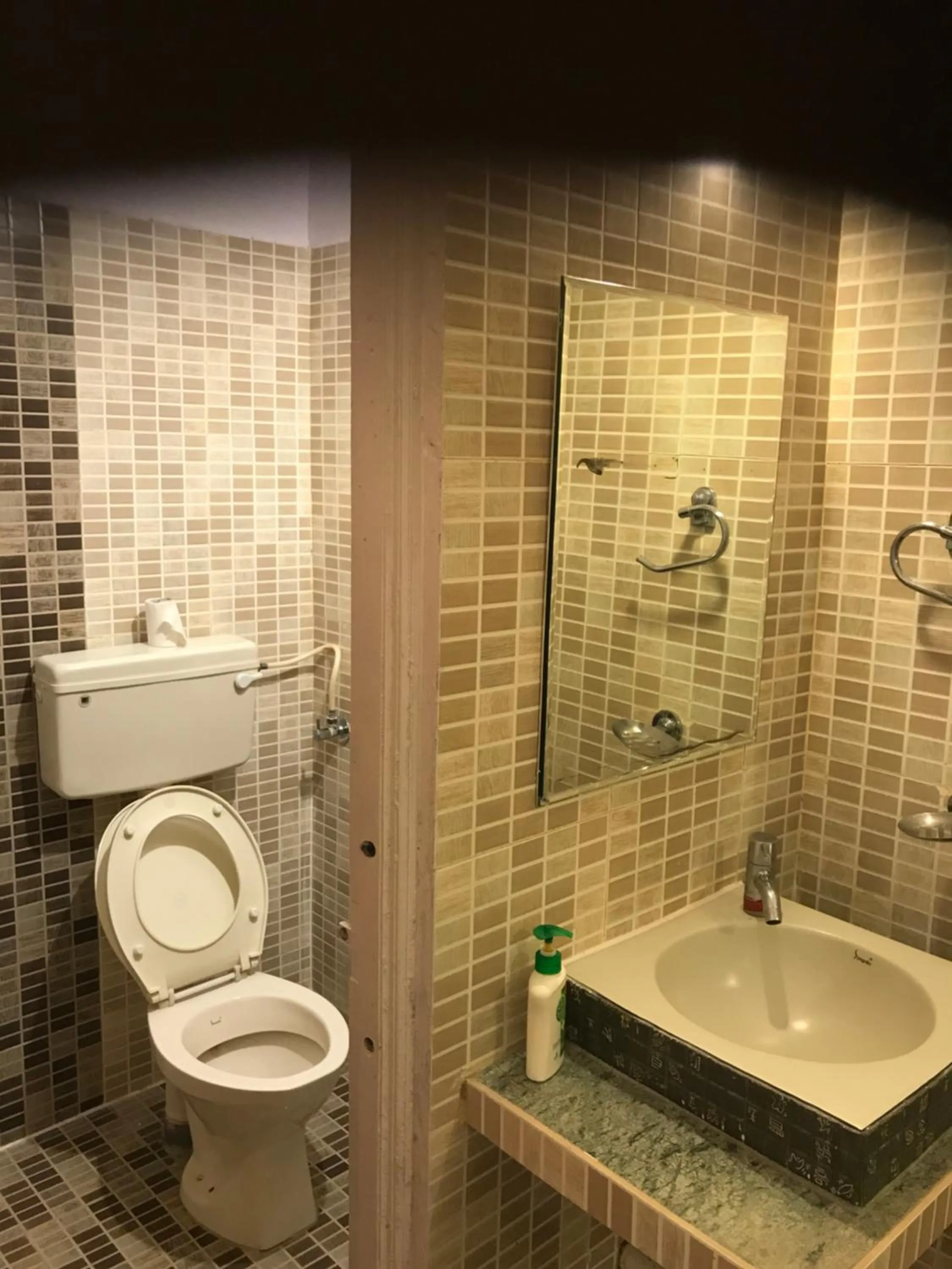 Bathroom in Baaz Jungle Resort