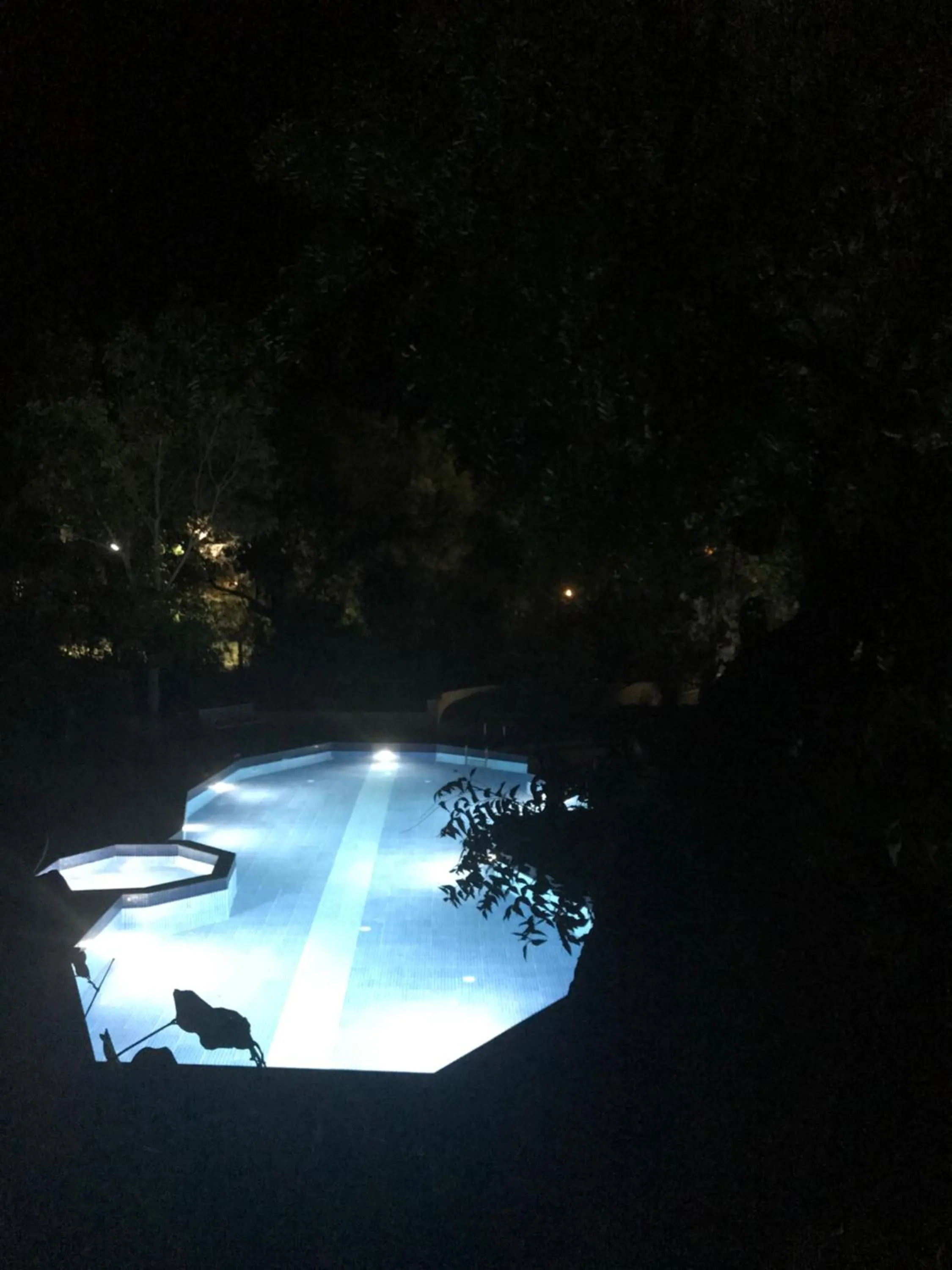 Pool view in Baaz Jungle Resort