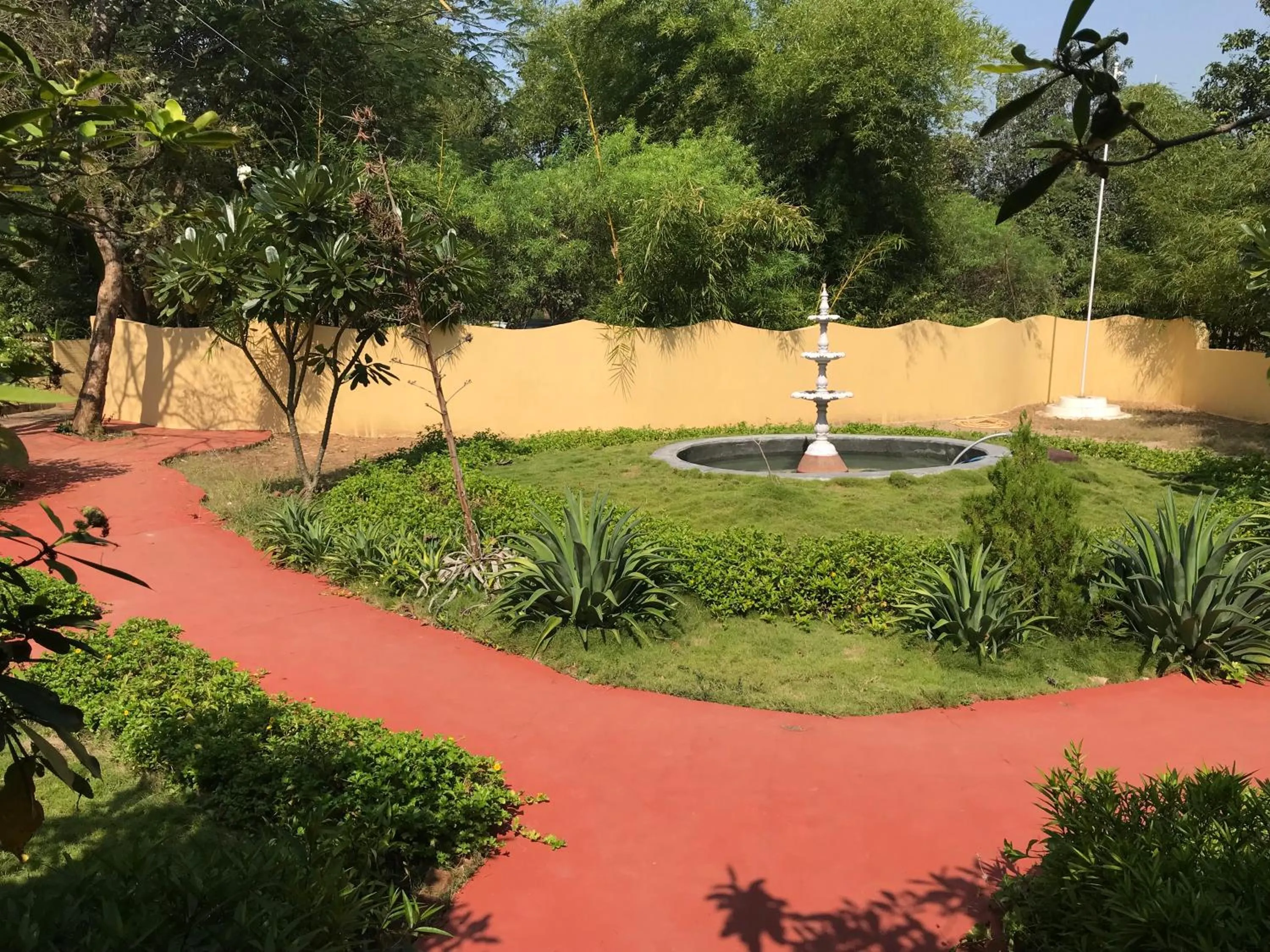 Area and facilities in Baaz Jungle Resort