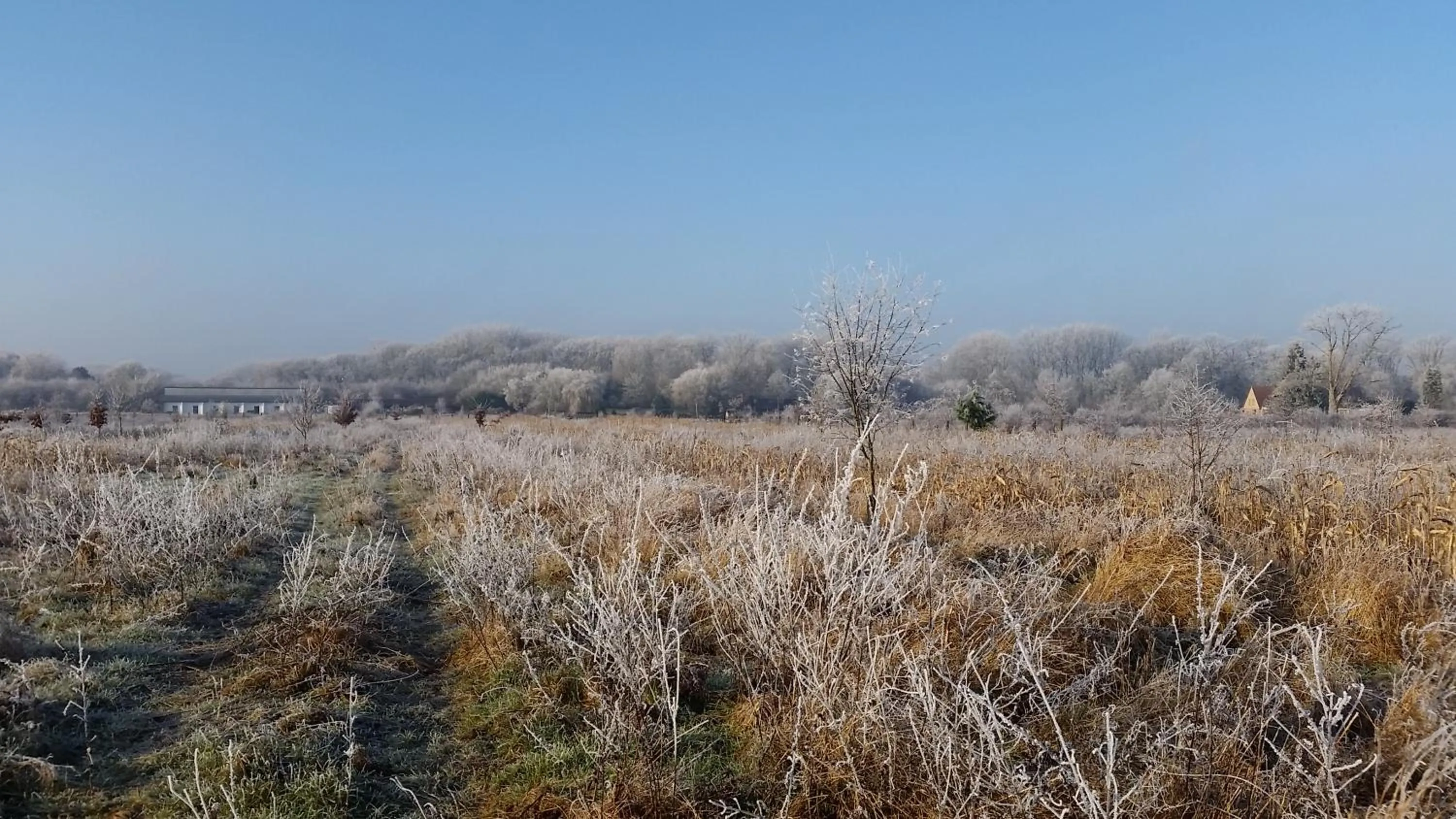 View (from property/room) in les Bovrieres