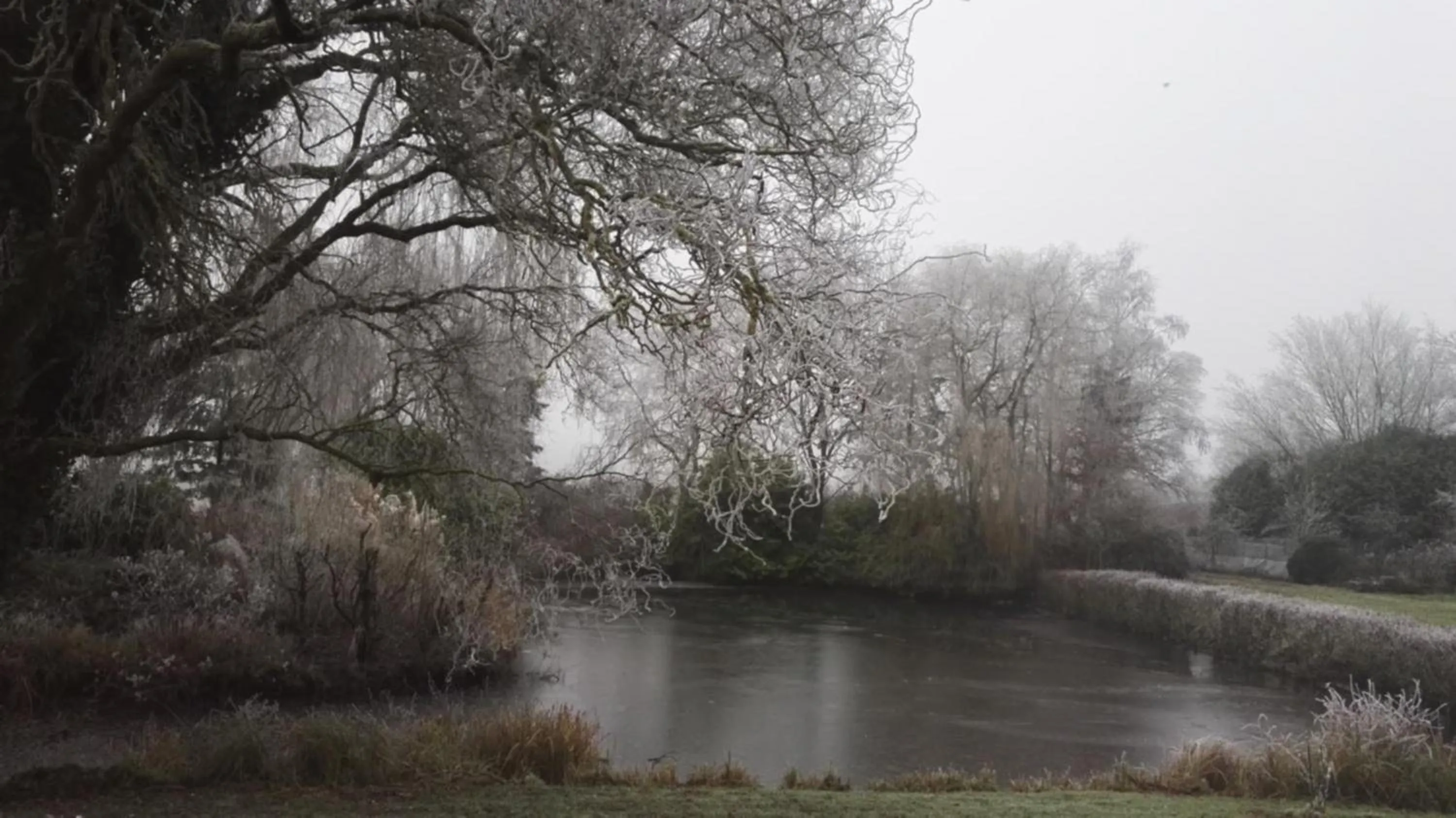 Garden view in les Bovrieres