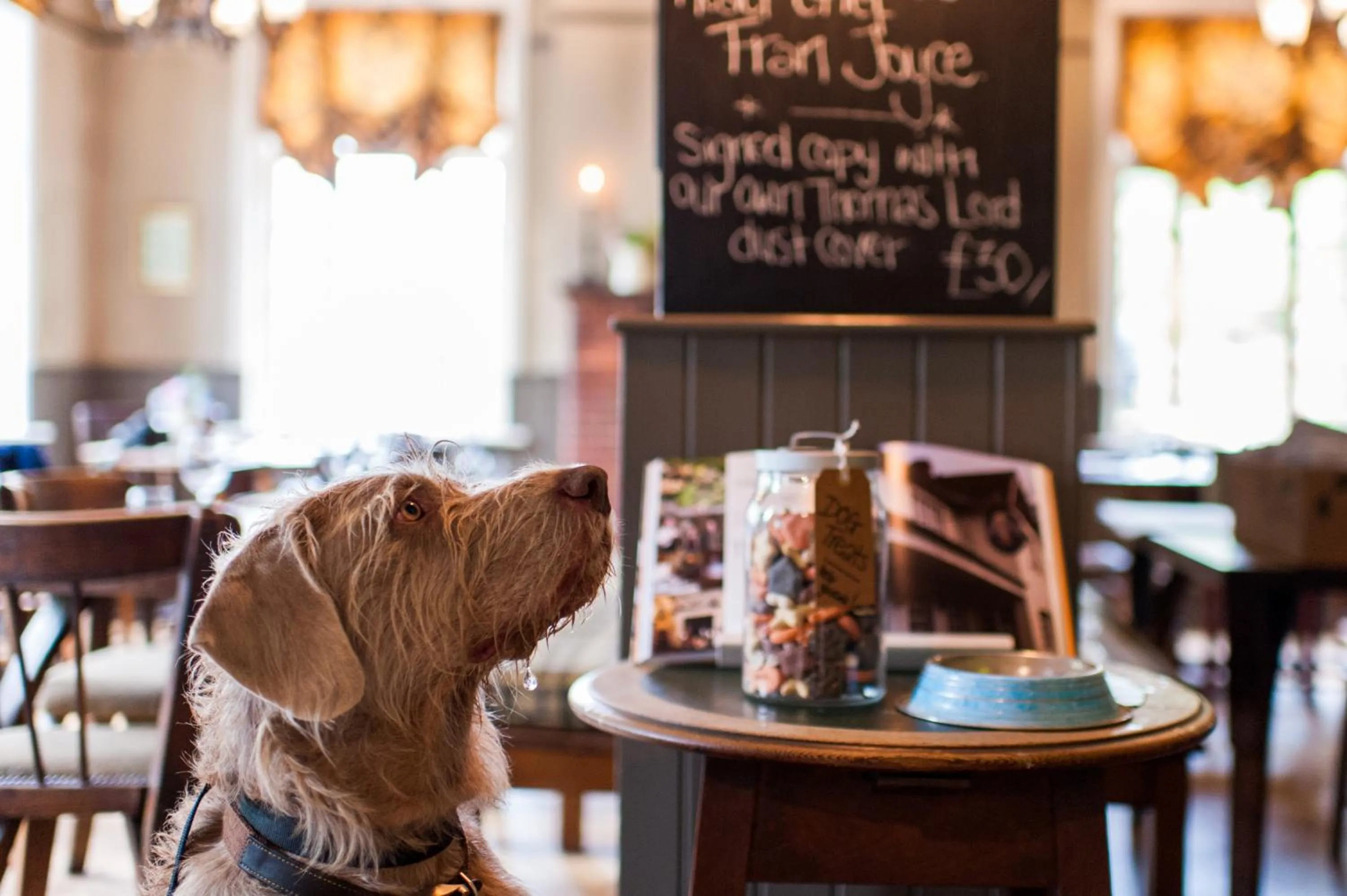 Food and drinks in The Thomas Lord