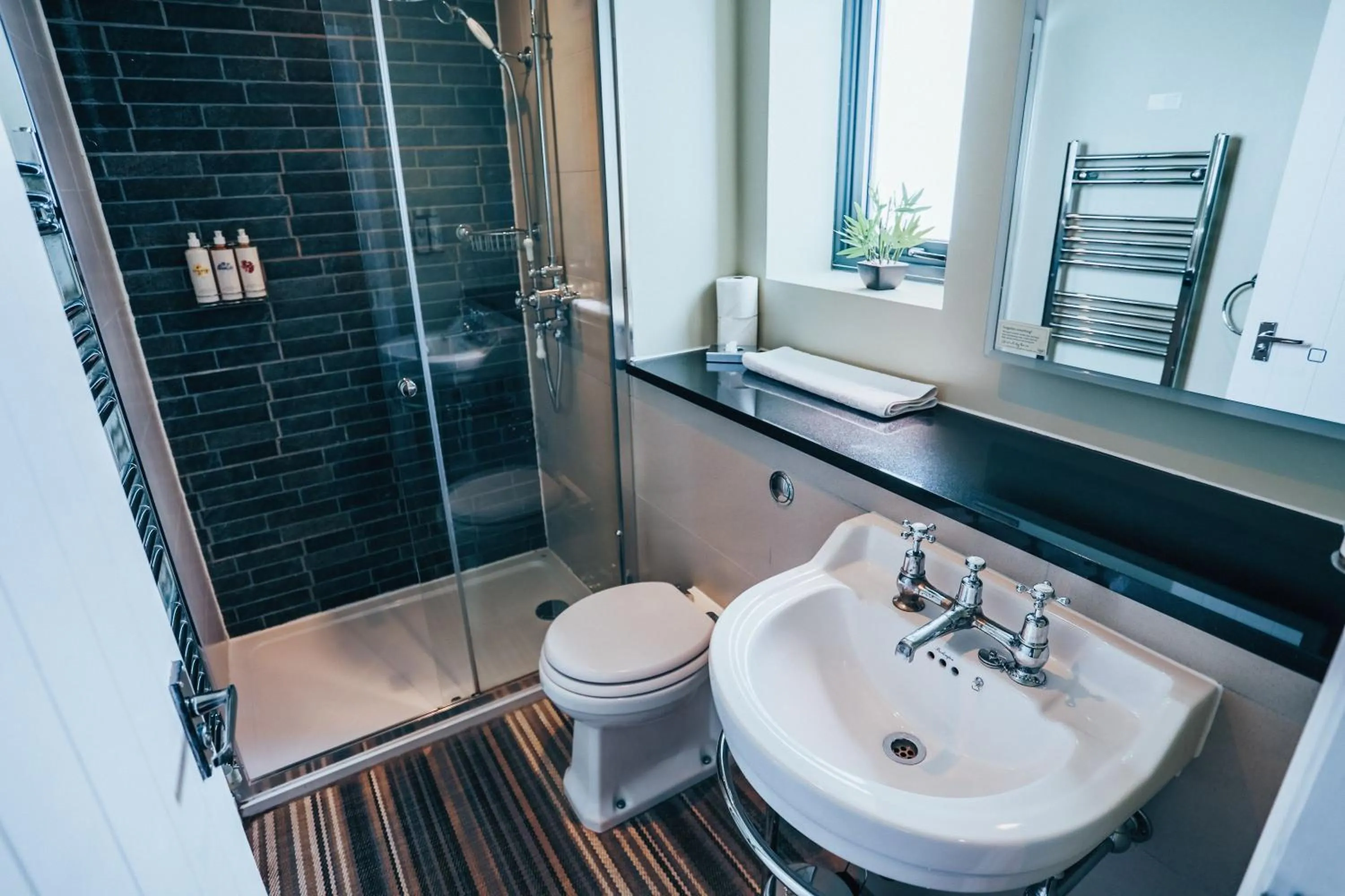 Shower in The Thomas Lord