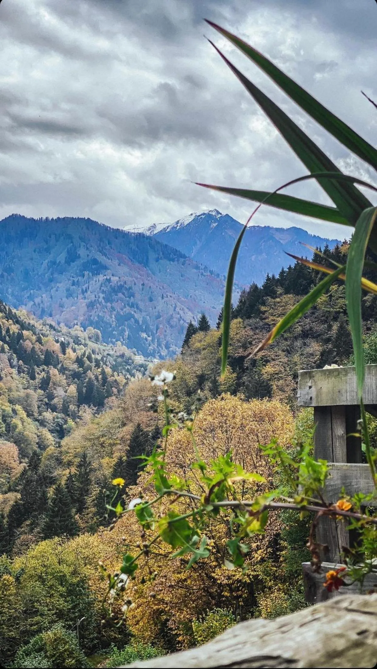 Seyr-i Cennet Dag Evleri