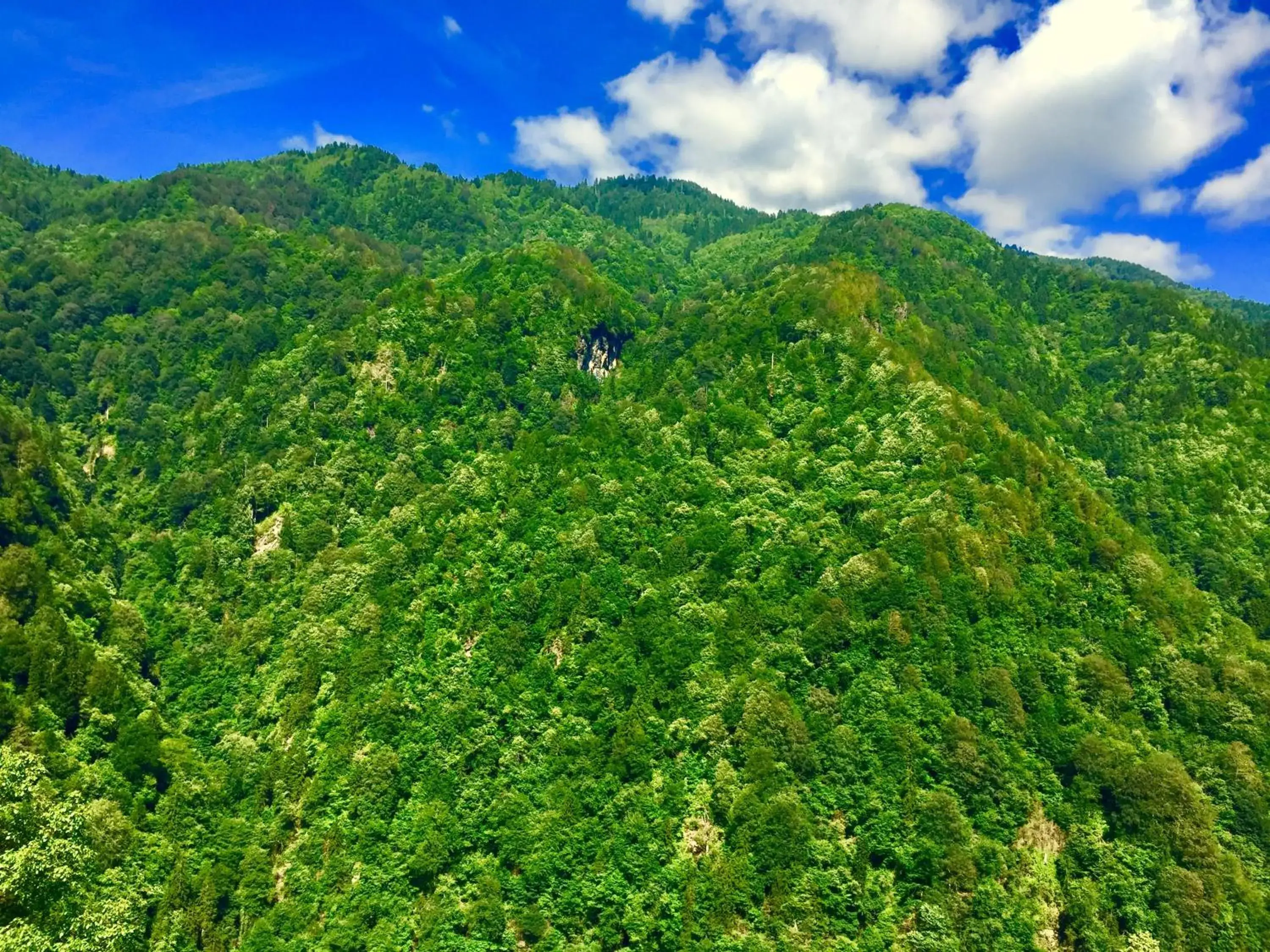 Property building in Seyr-i Cennet Dag Evleri Property building in Seyr-i Cennet Dag Evleri