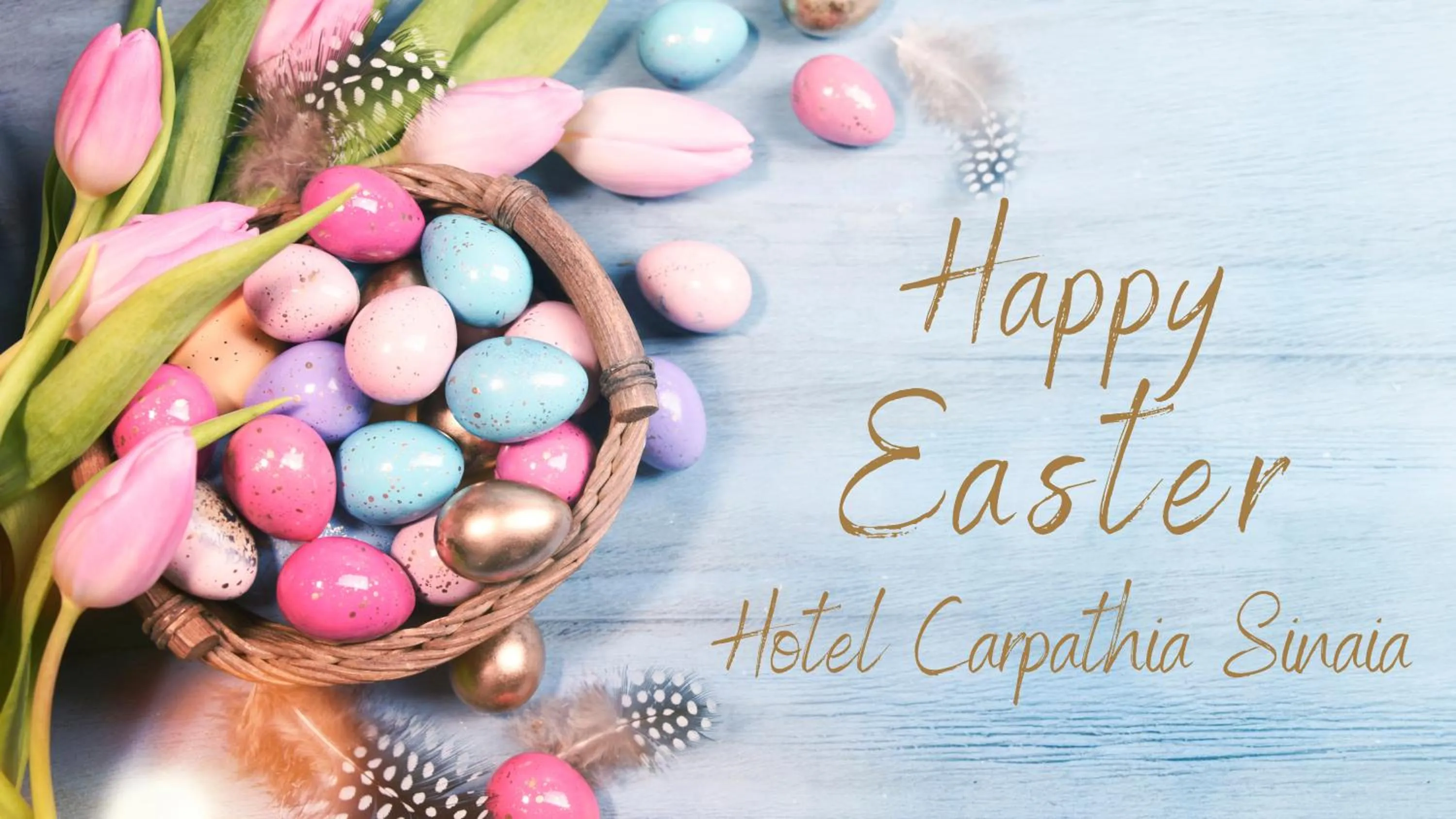 Photo of the whole room in Hotel Carpathia