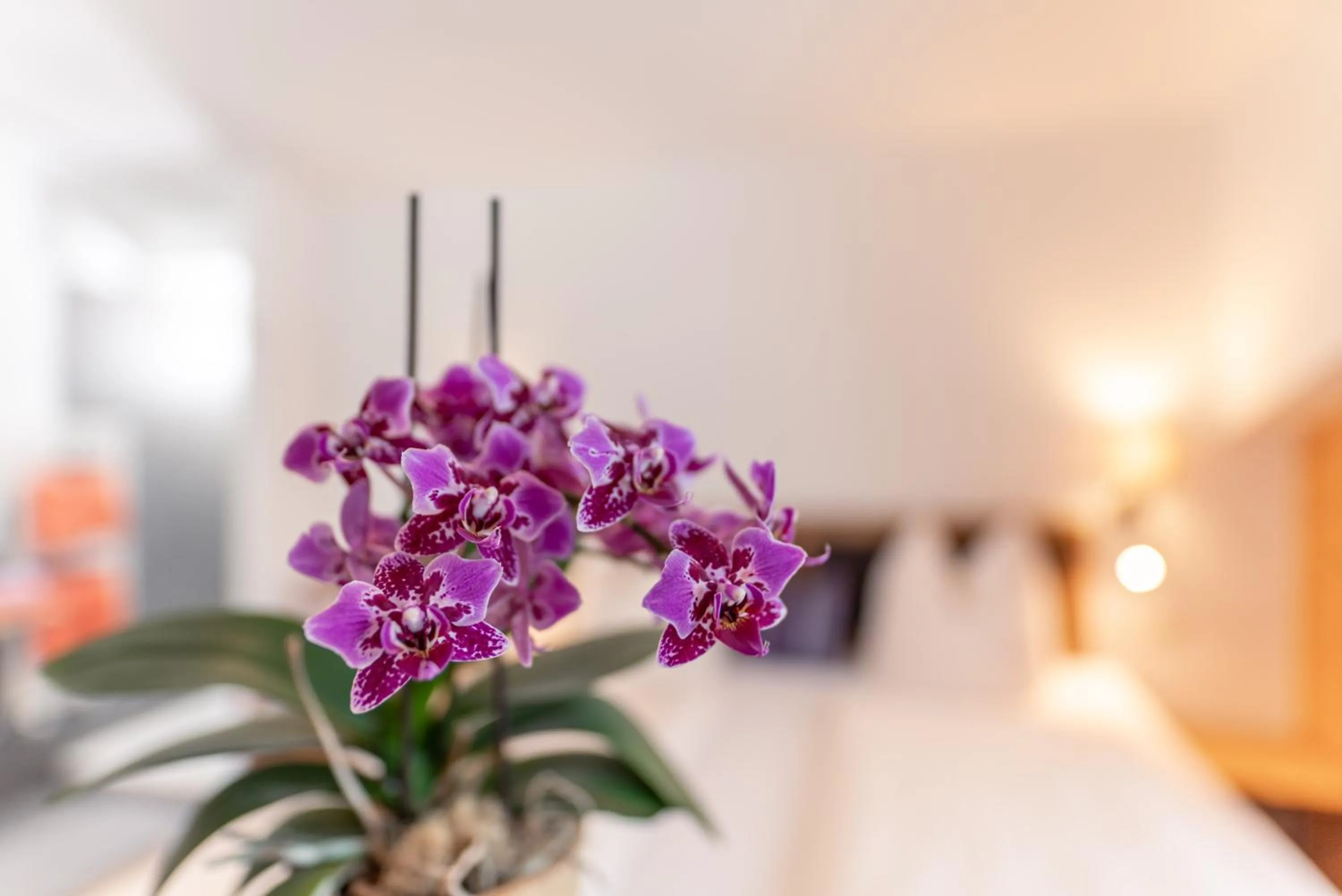 Photo of the whole room, Bed in Wellnesshaus Reichelt