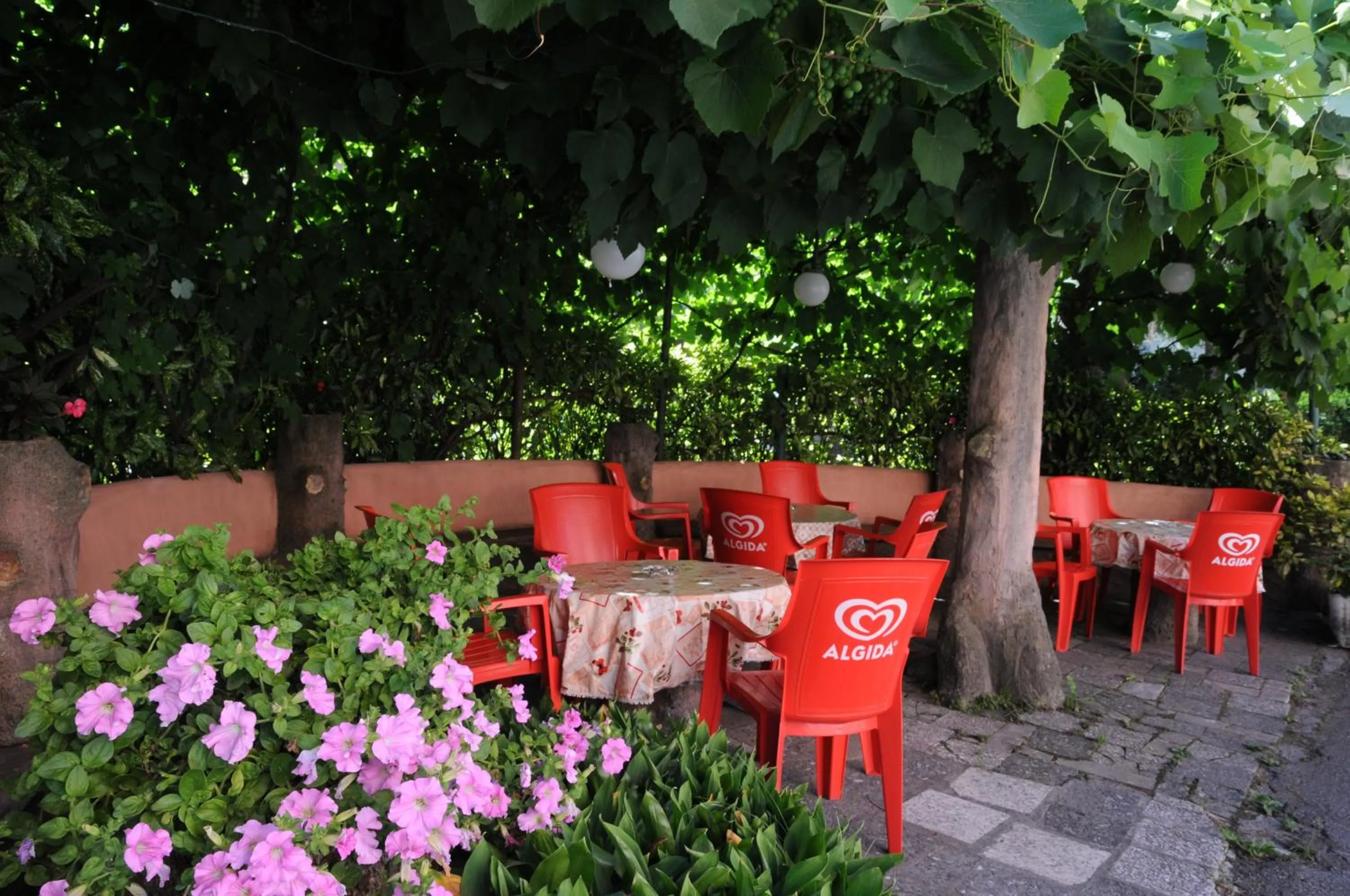 Garden in Hotel Eternità