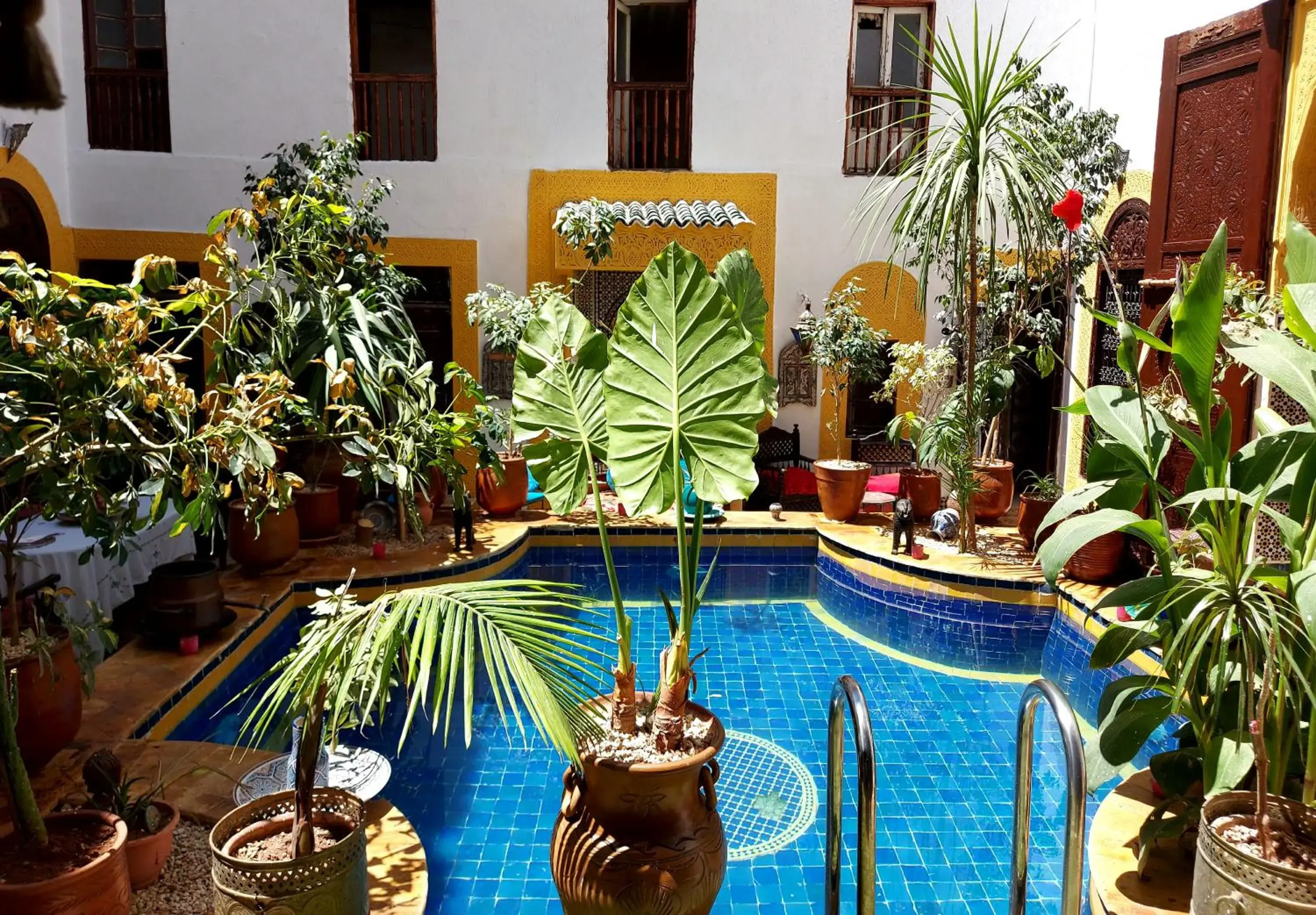 Garden view in Palais AL Firdaous Garden view in Palais AL Firdaous