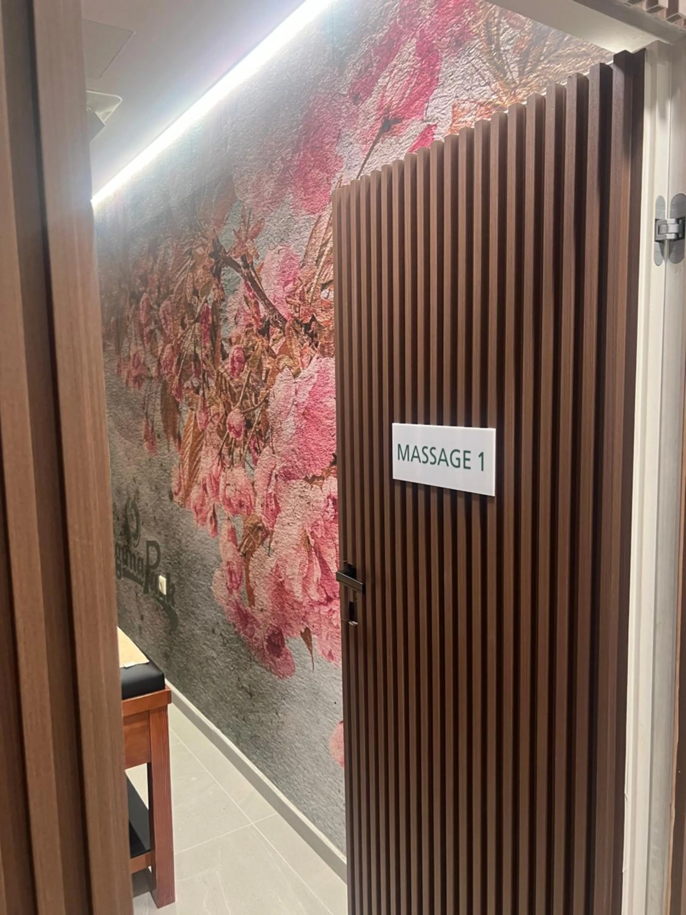 Massage in Hotel Laguna Park & Aqua Club - All Inclusive