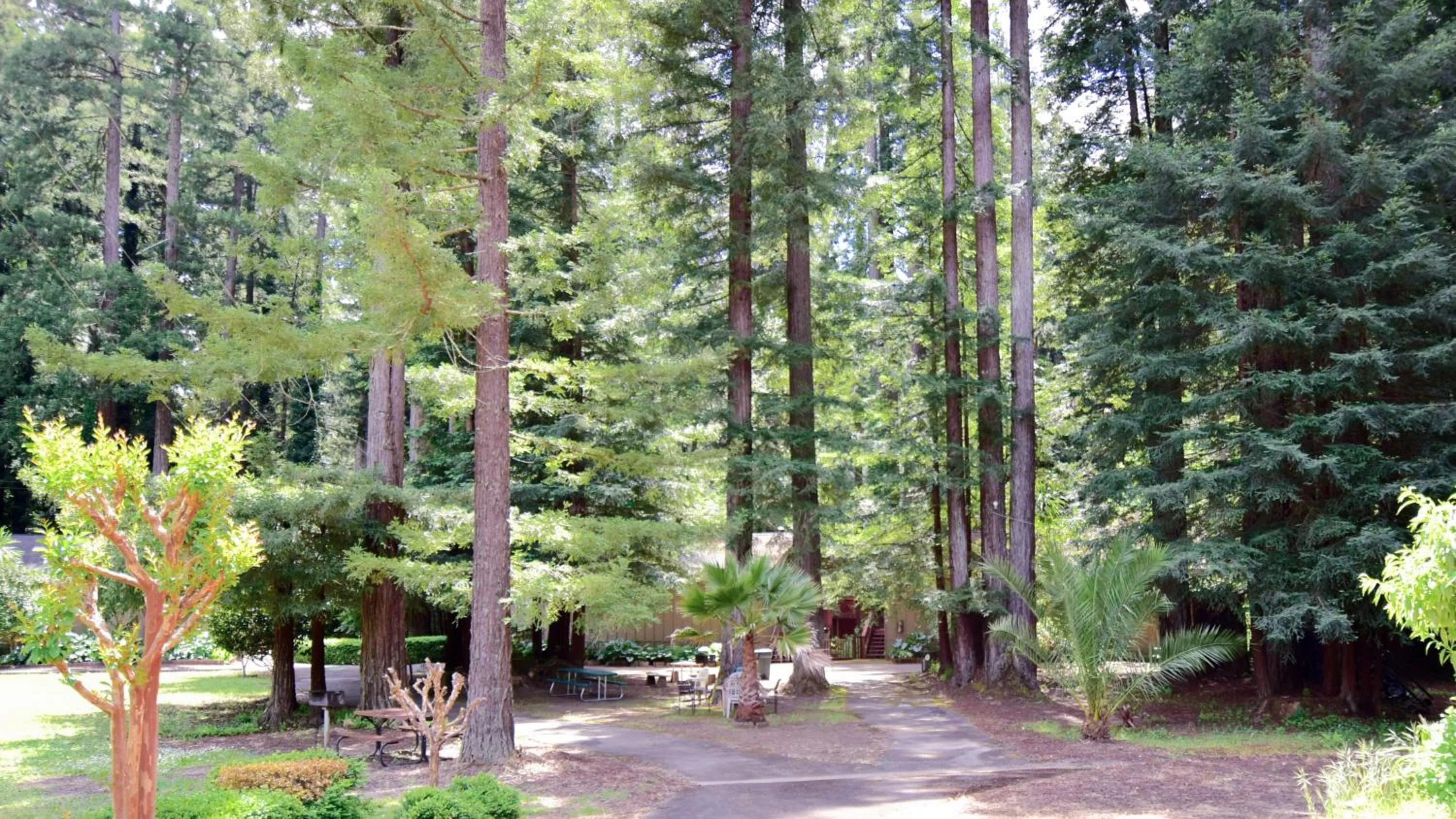 Natural landscape in Casa Secoya