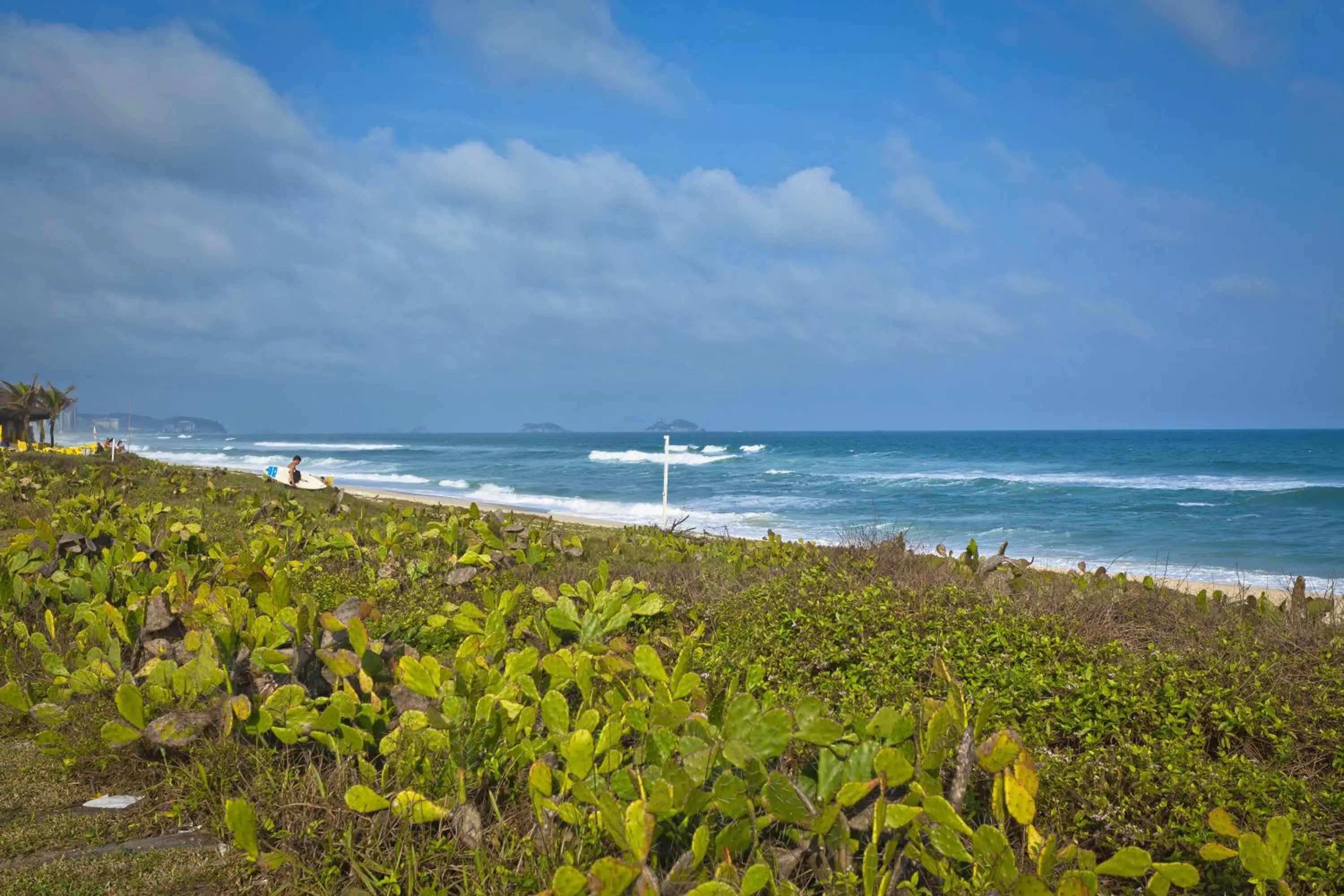 Natural landscape in Bourbon Residence Barra da Tijuca - Rio de Janeiro