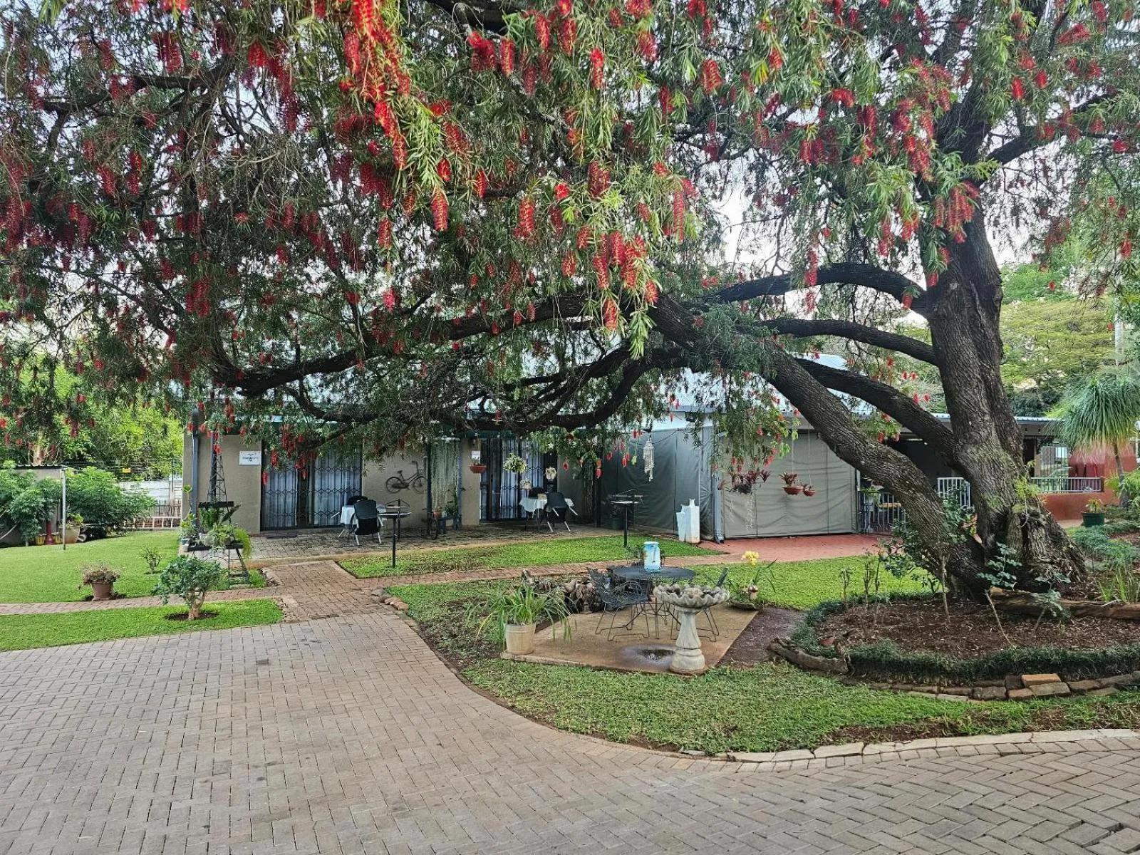 Garden in Apricity Inn