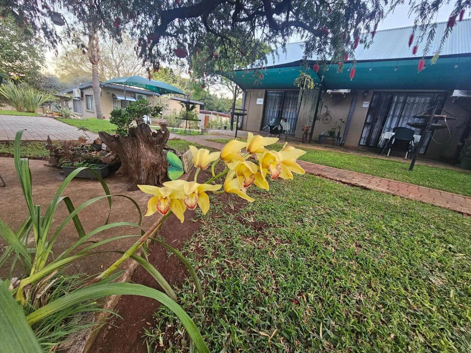 Garden in Apricity Inn