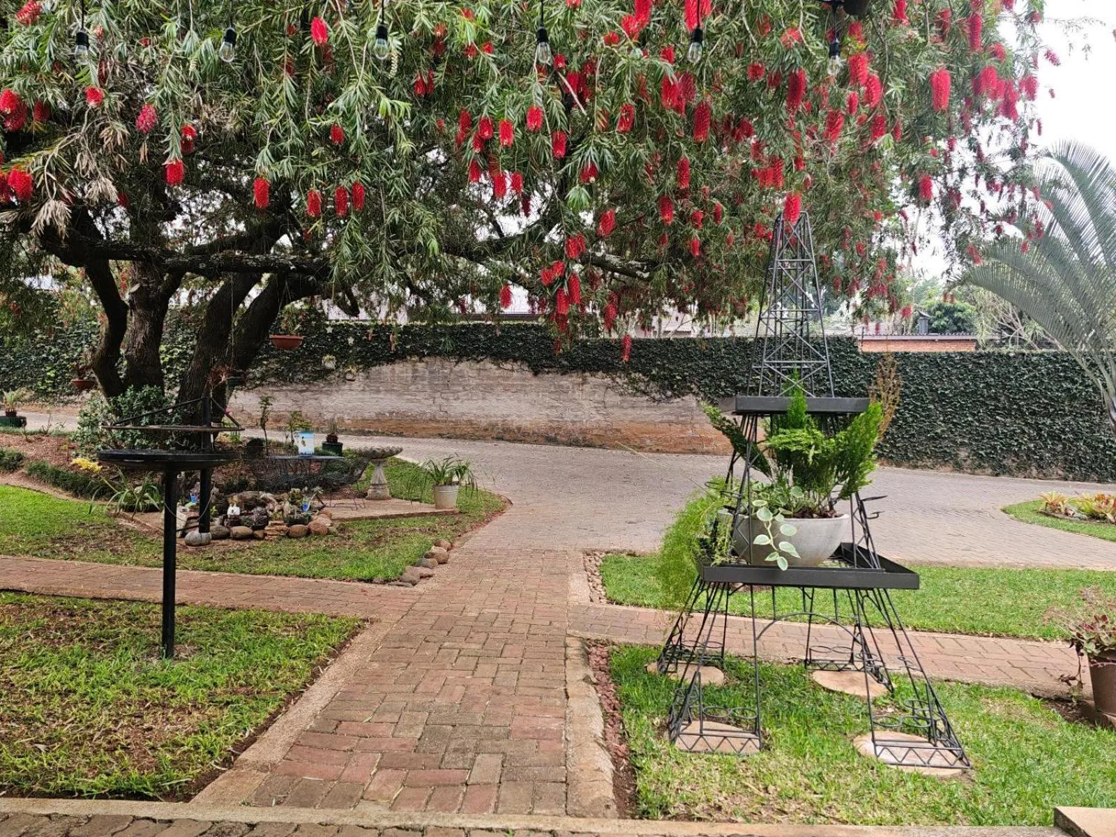 Garden view in Apricity Inn