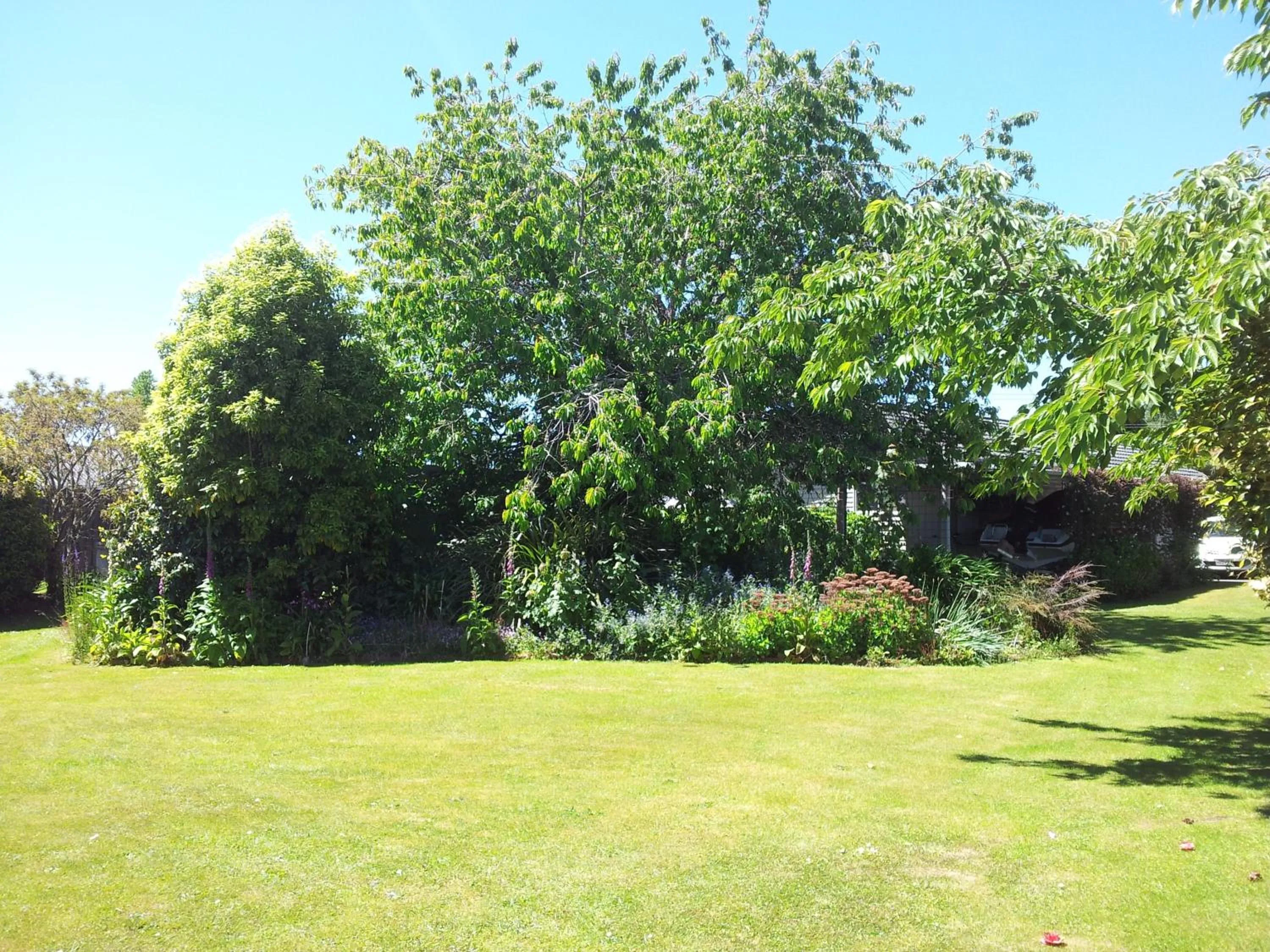 Day in Edgewater Motel