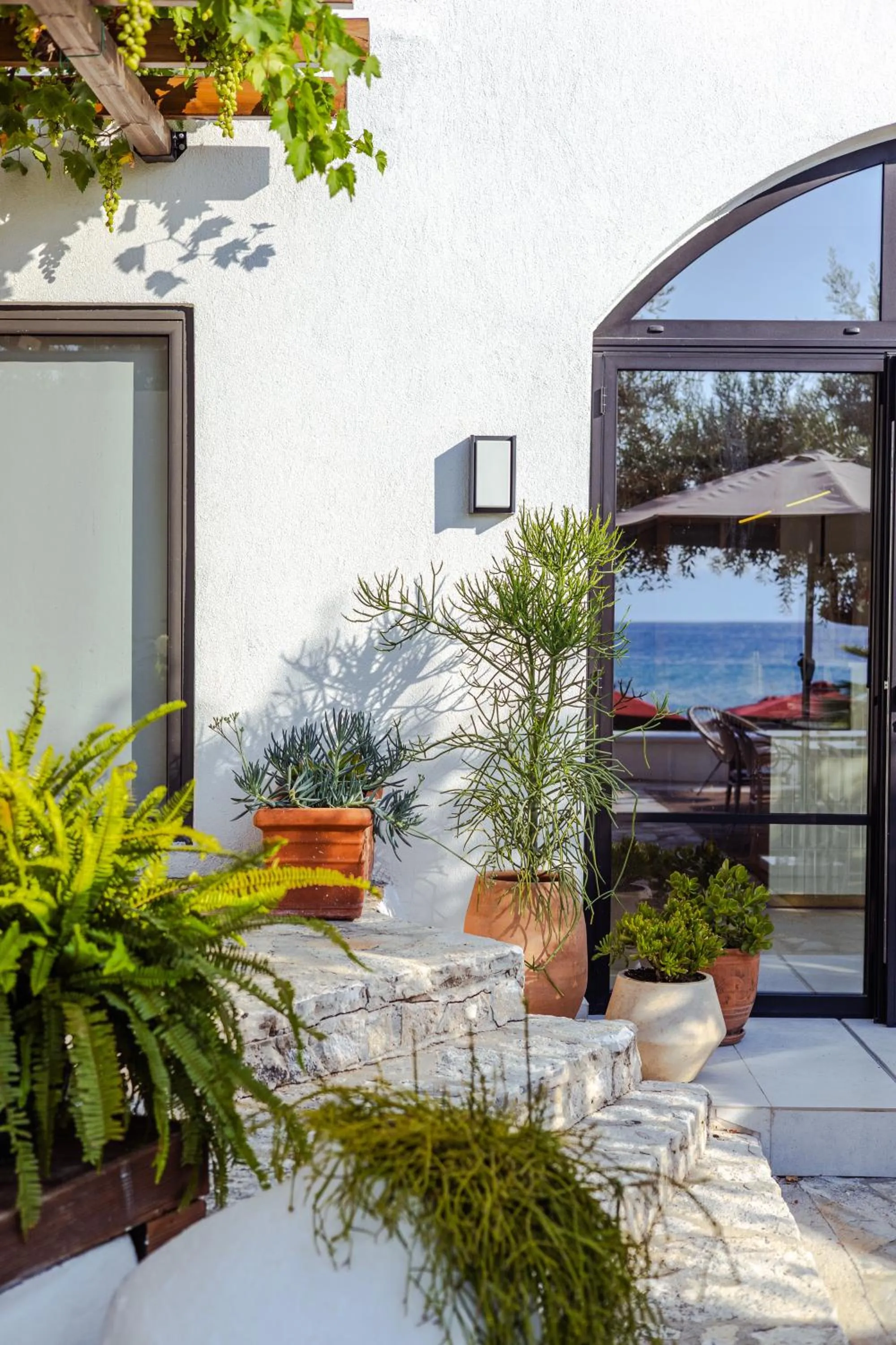 Garden in Akti Hotel Kavala