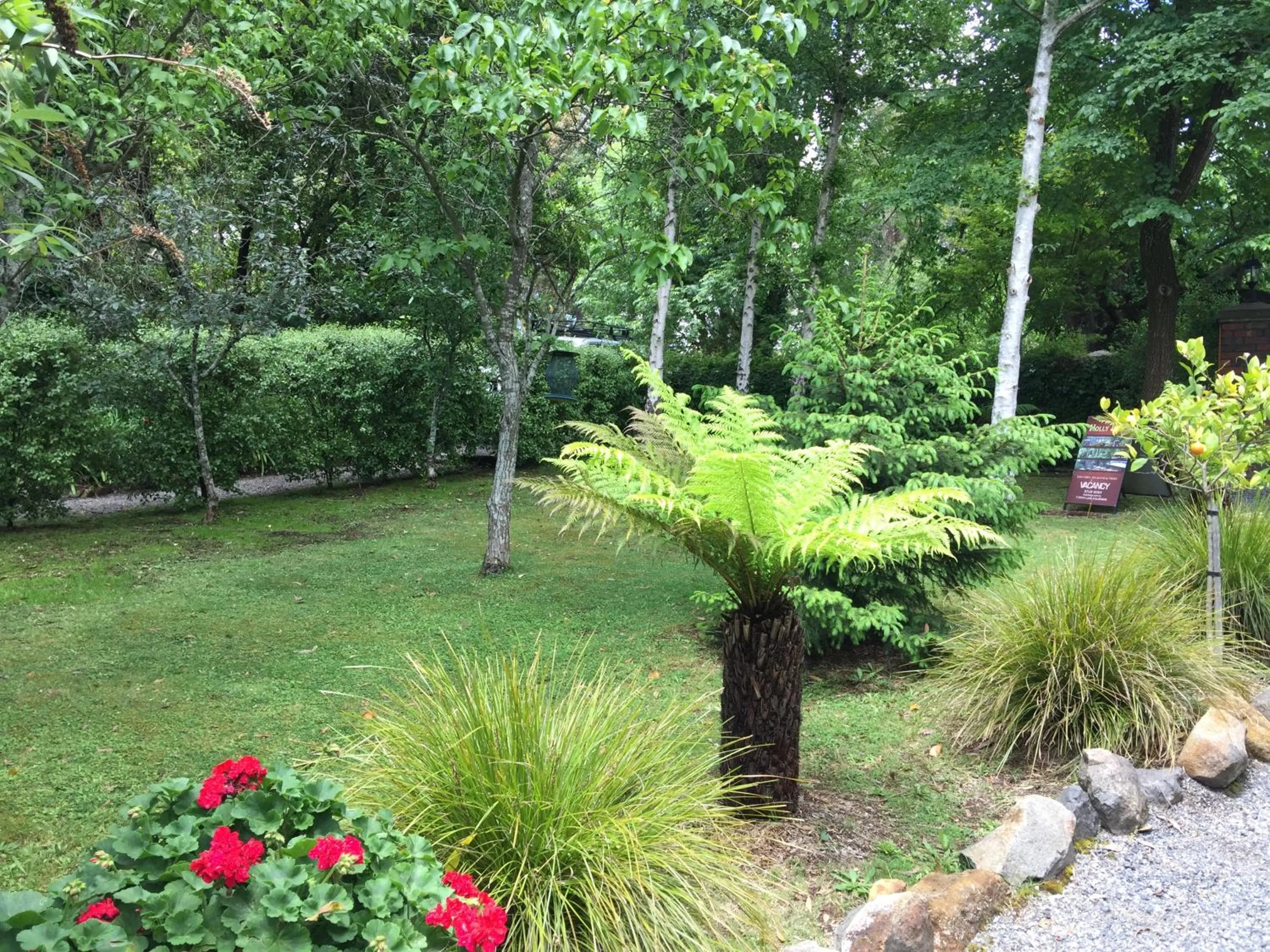 Quiet street view in Holly Lodge