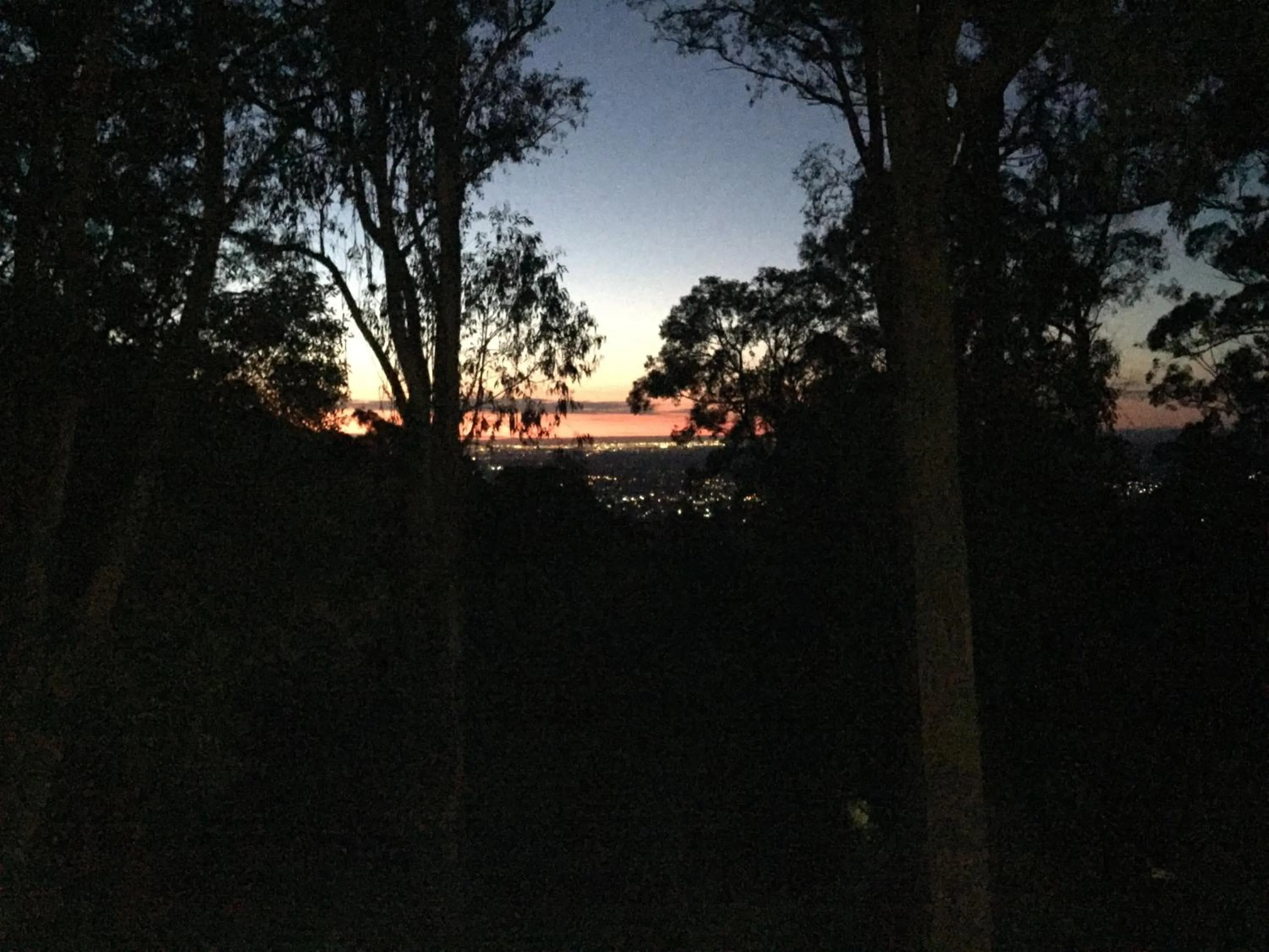 View (from property/room) in Holly Lodge