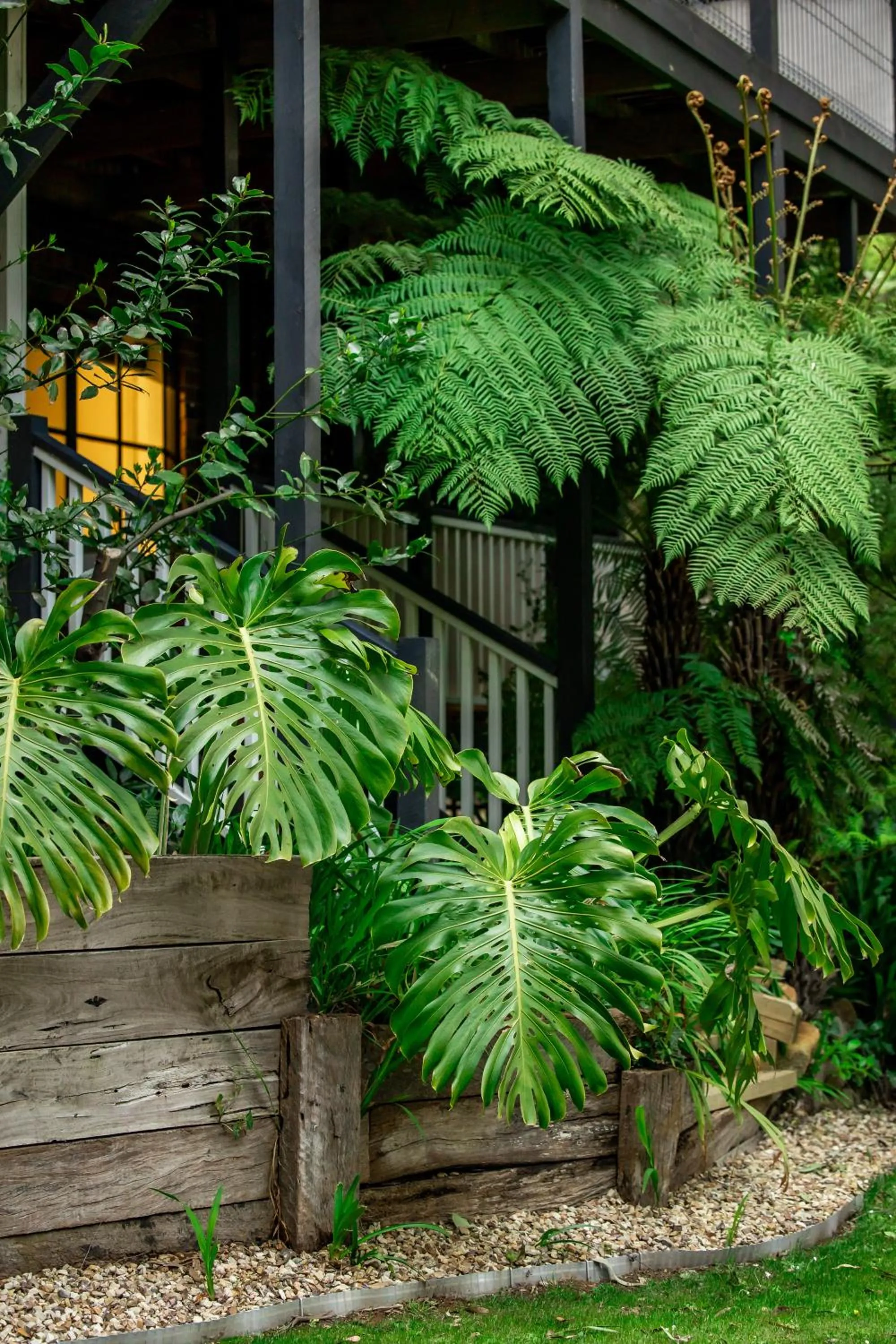 Garden in Holly Lodge