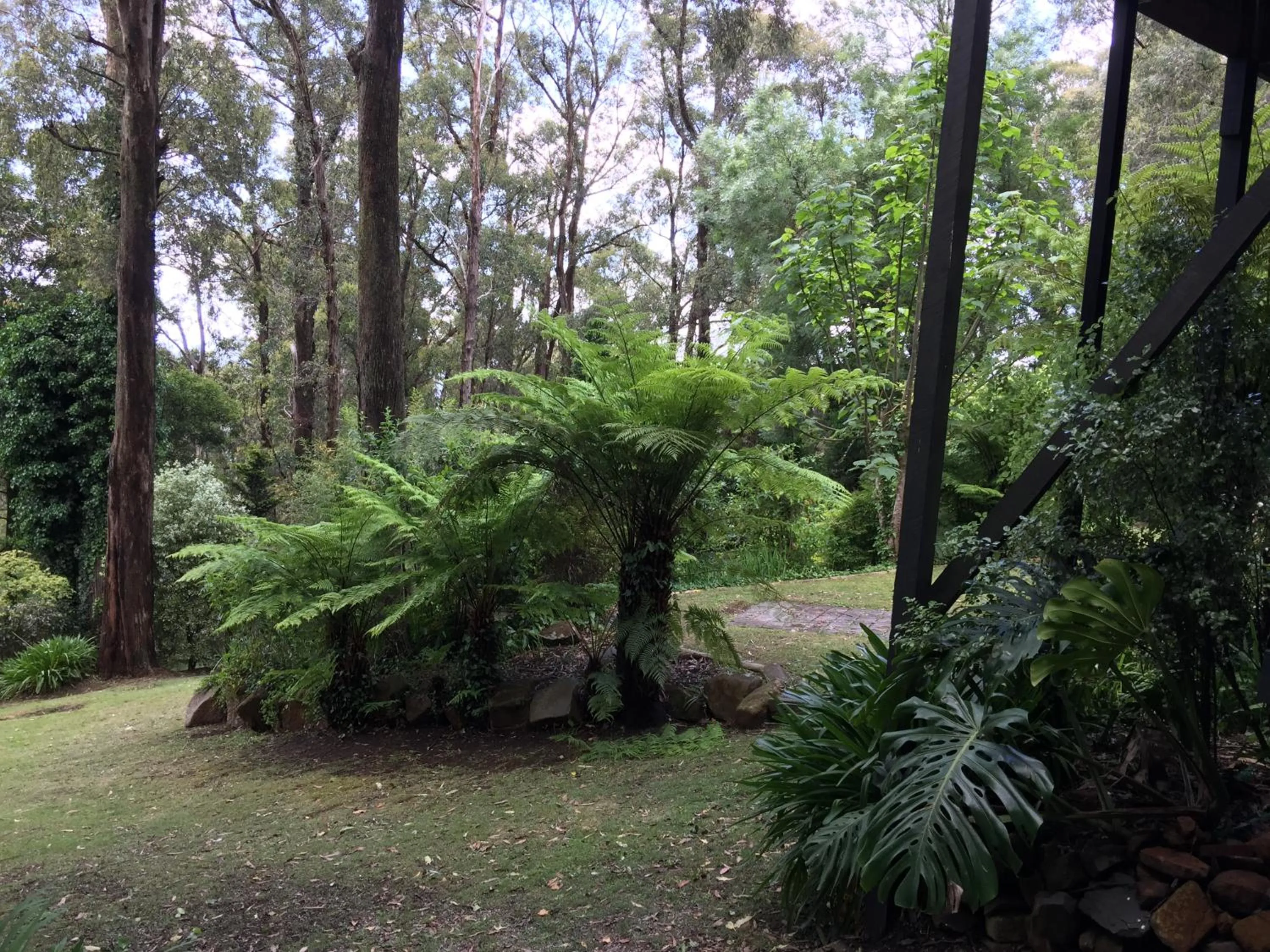 Garden view in Holly Lodge