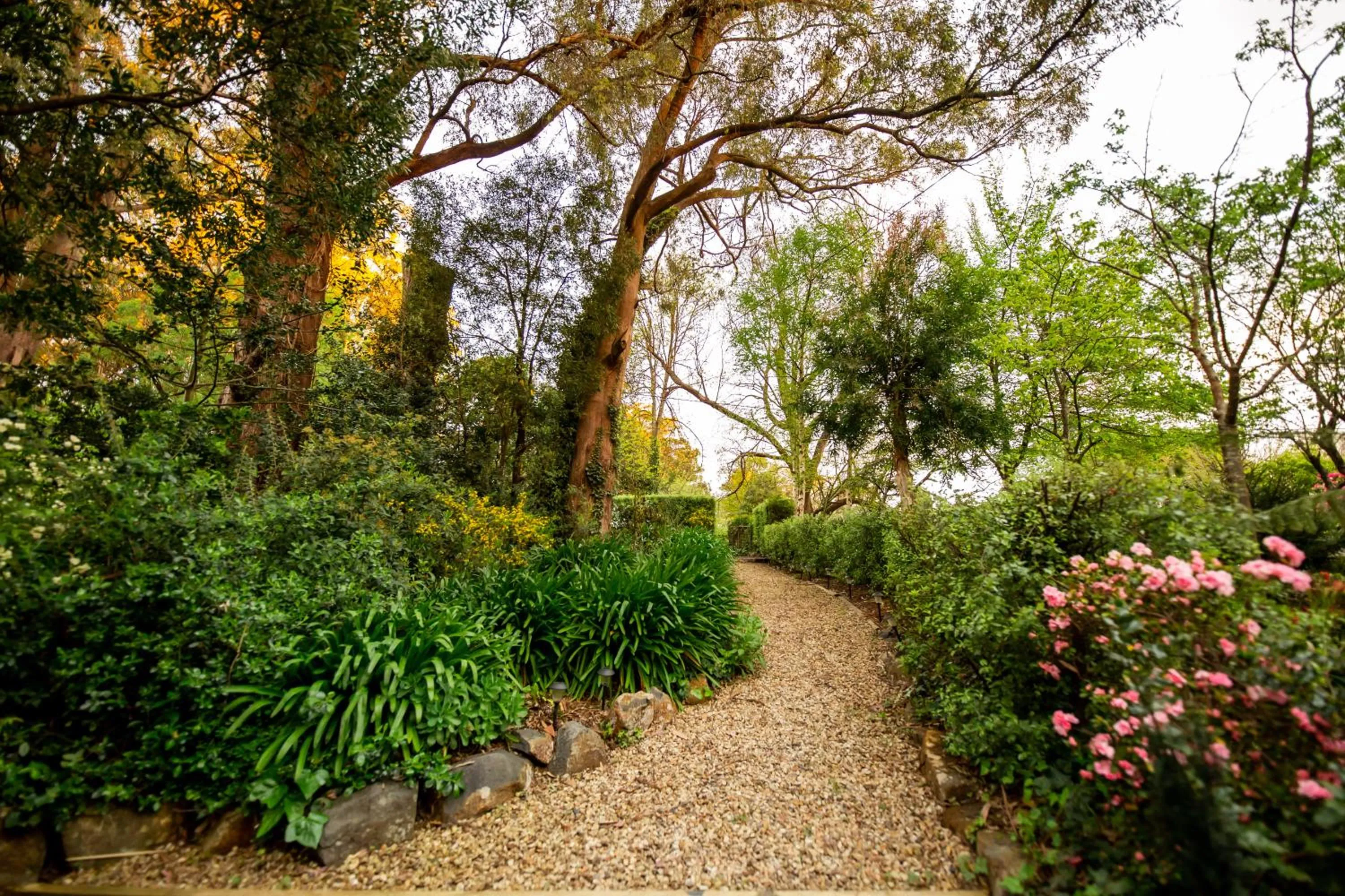 Natural landscape in Holly Lodge