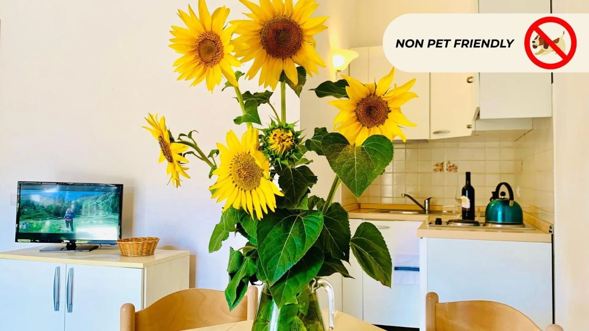 TV and multimedia in Casa in Maremma Tuscany Village