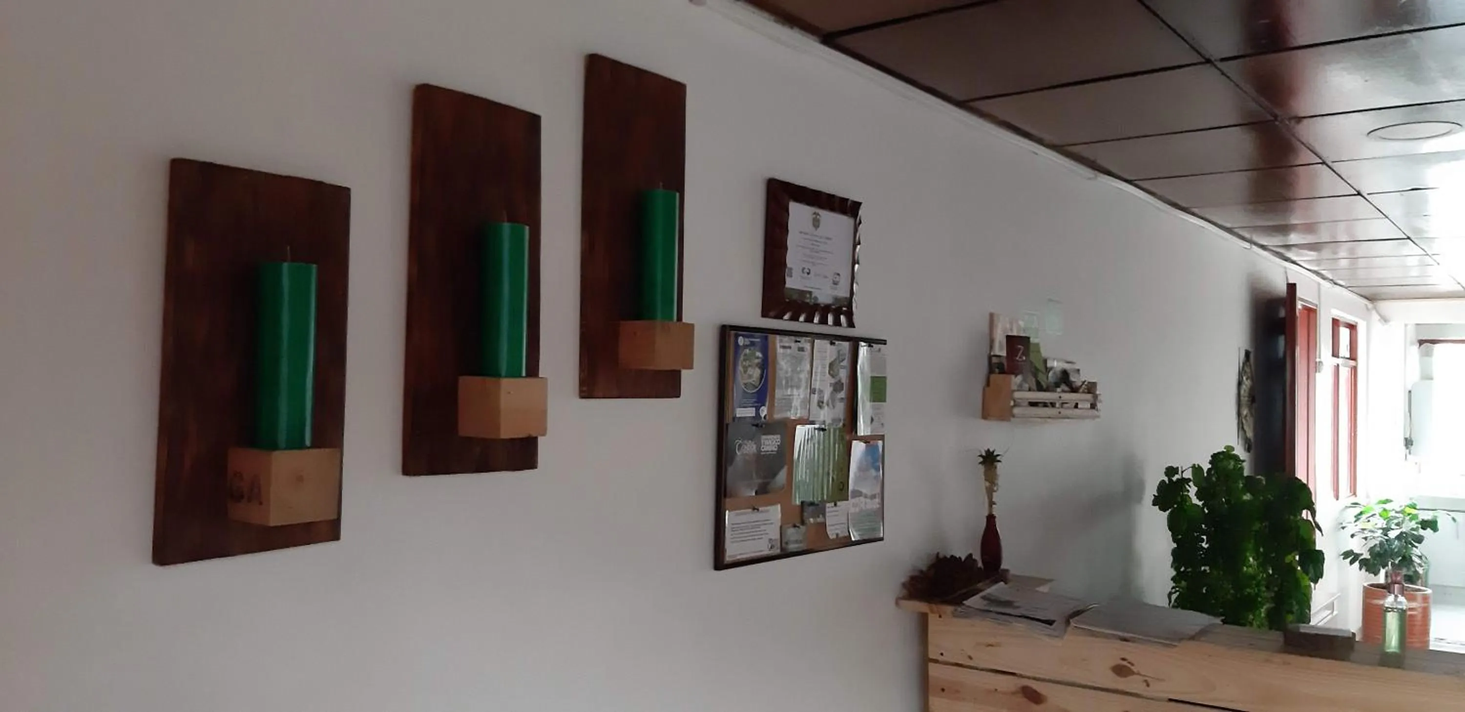 Facade/entrance in Hostal Triangulo del Café