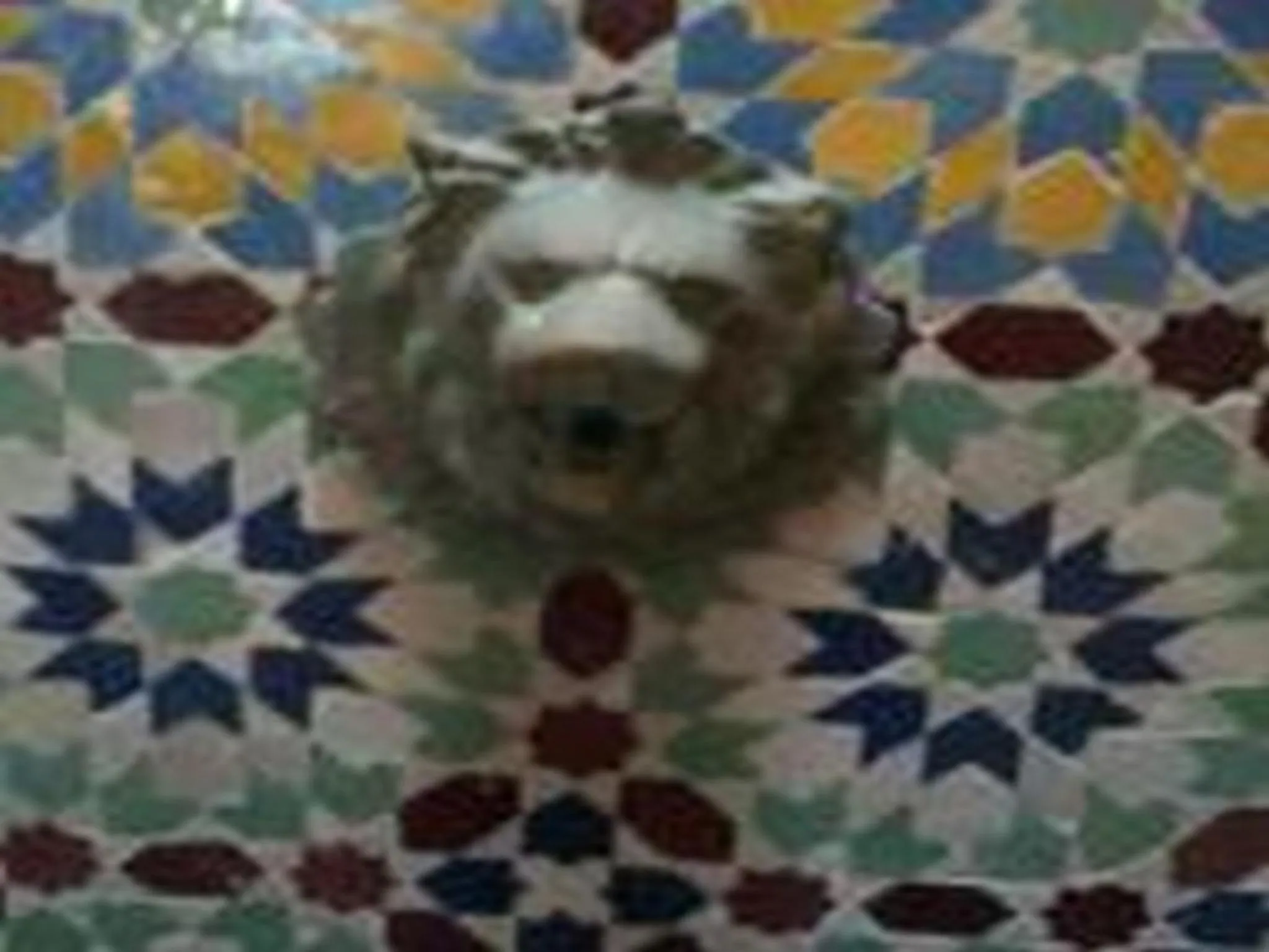 Decorative detail in Riad Etoile D'essaouira