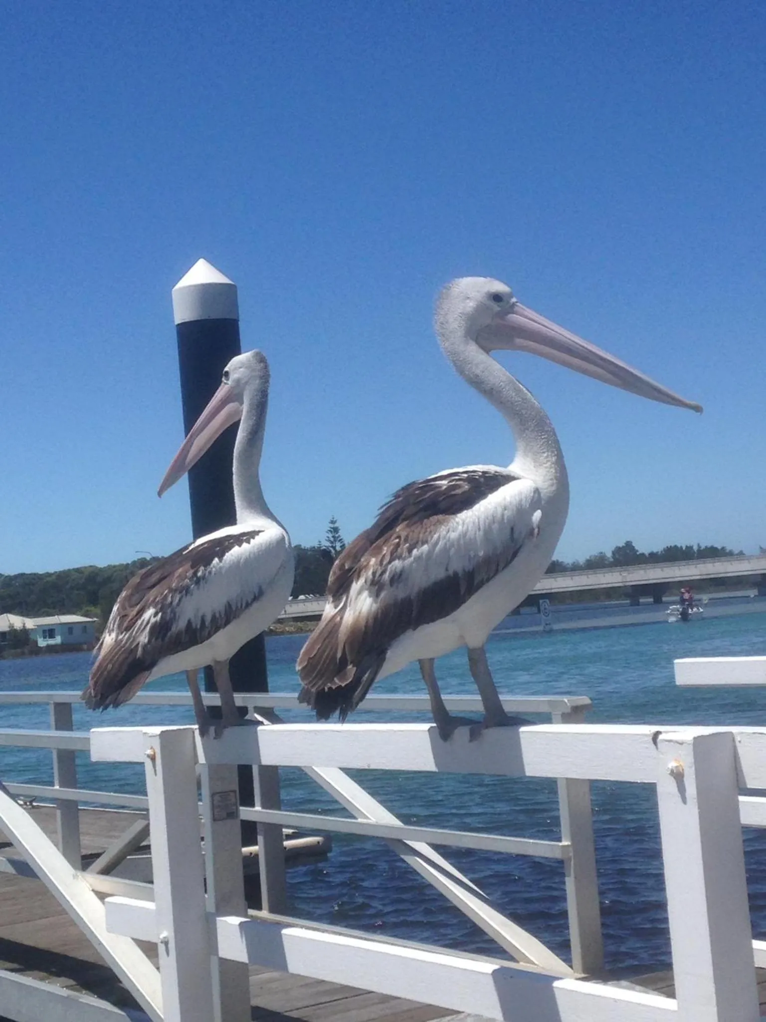 Nearby landmark in Serenity Lodge for Couples