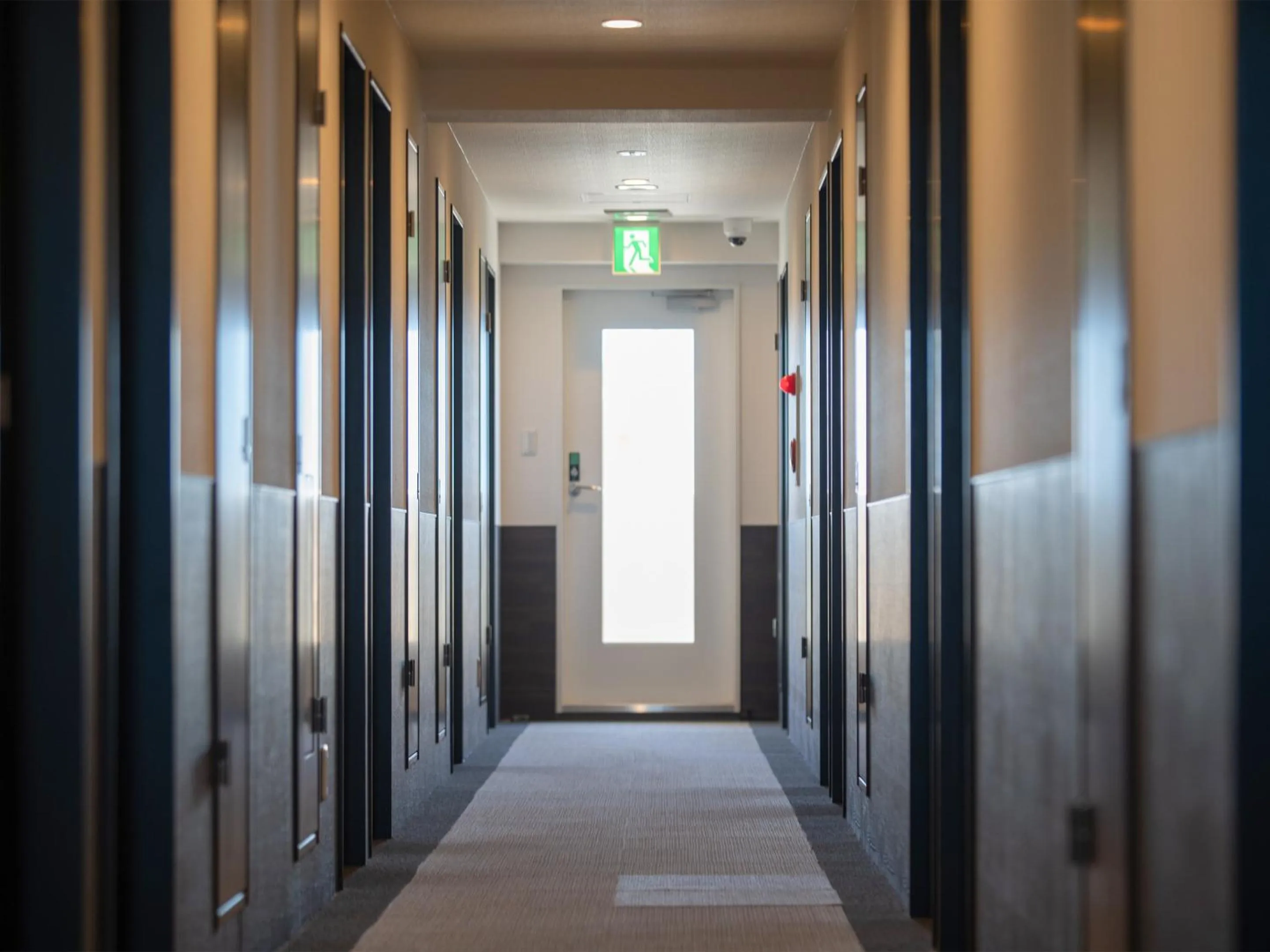 Area and facilities in Hotel Koza