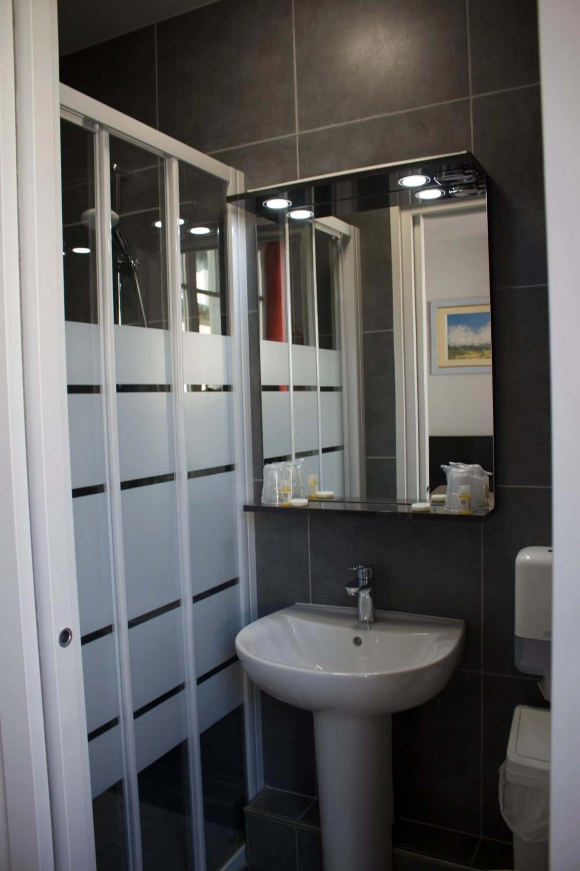 Shower in Hotel Le Reynita