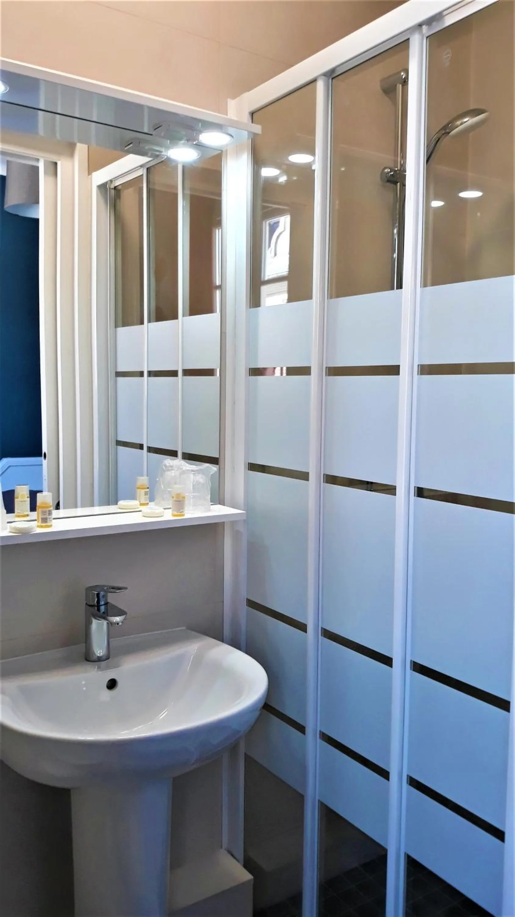 Shower in Hotel Le Reynita