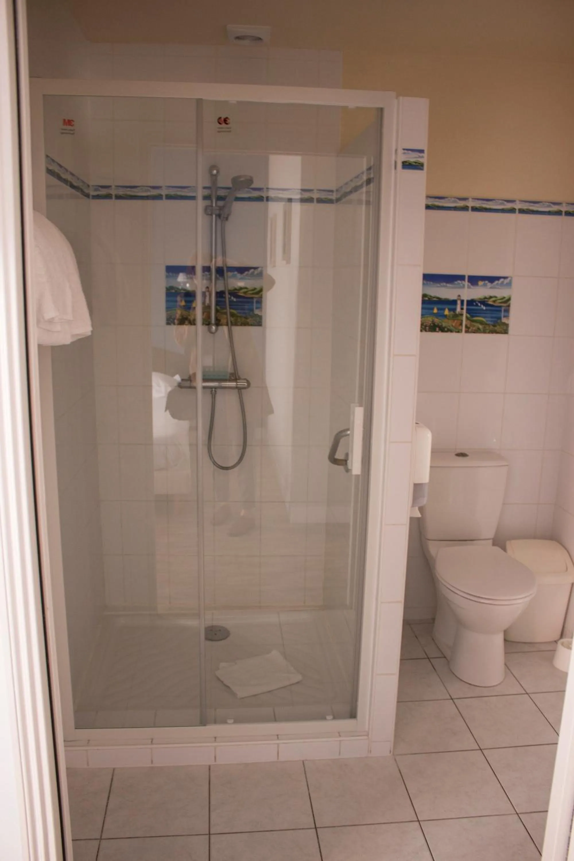 Shower in Hotel Le Reynita