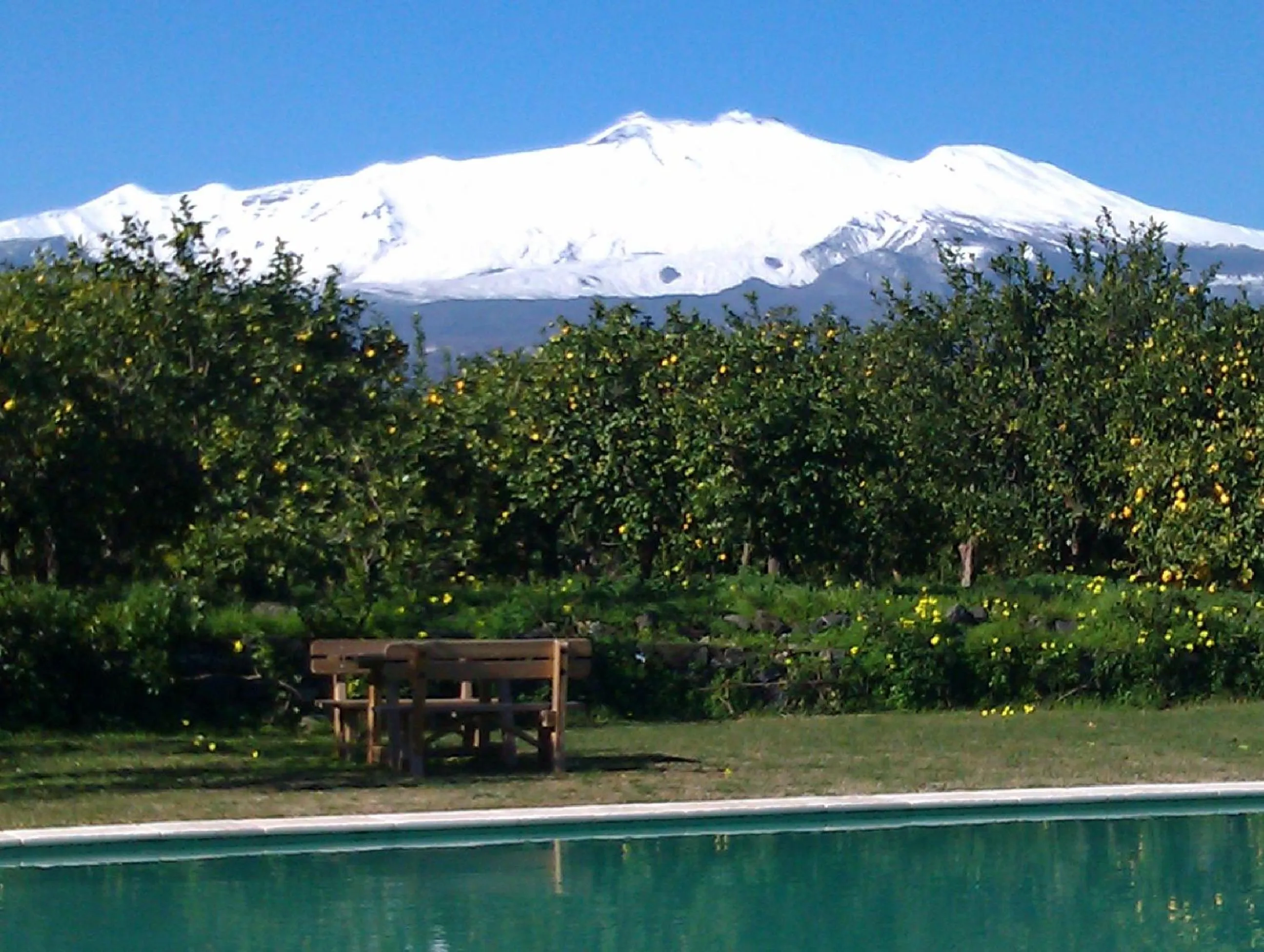 Swimming pool in Agriturismo Galea