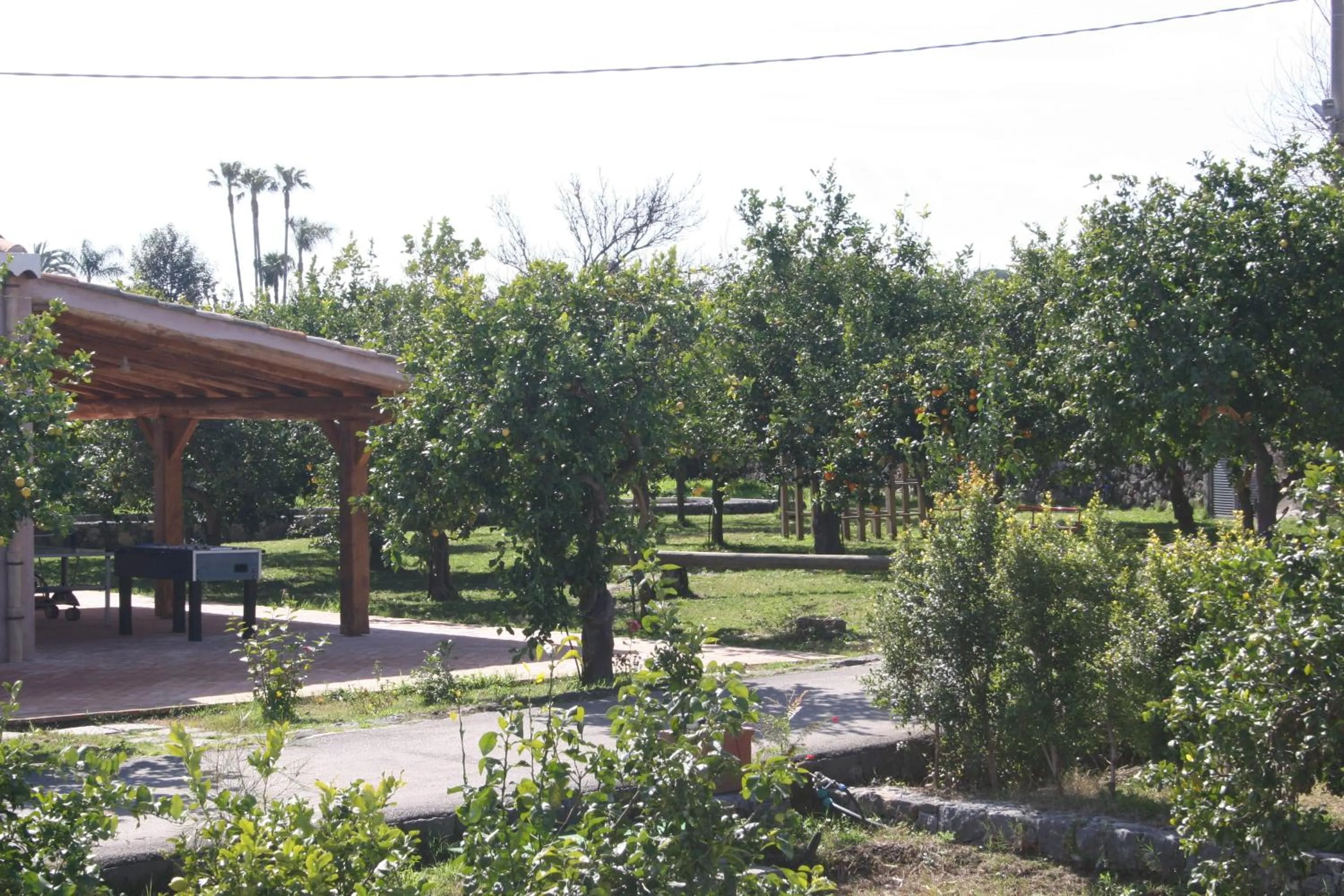 Garden in Agriturismo Galea
